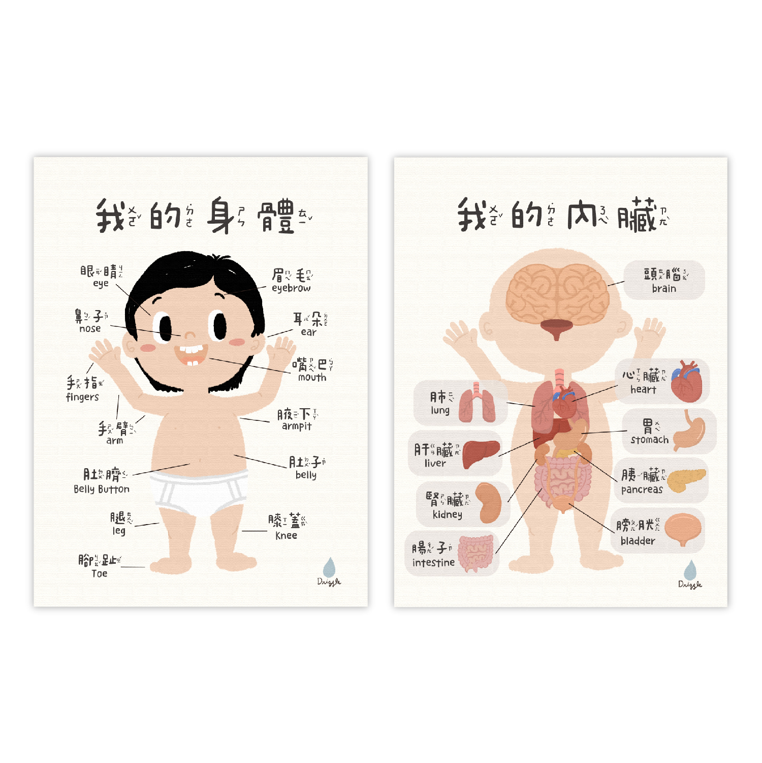 認識身體二合一掛布