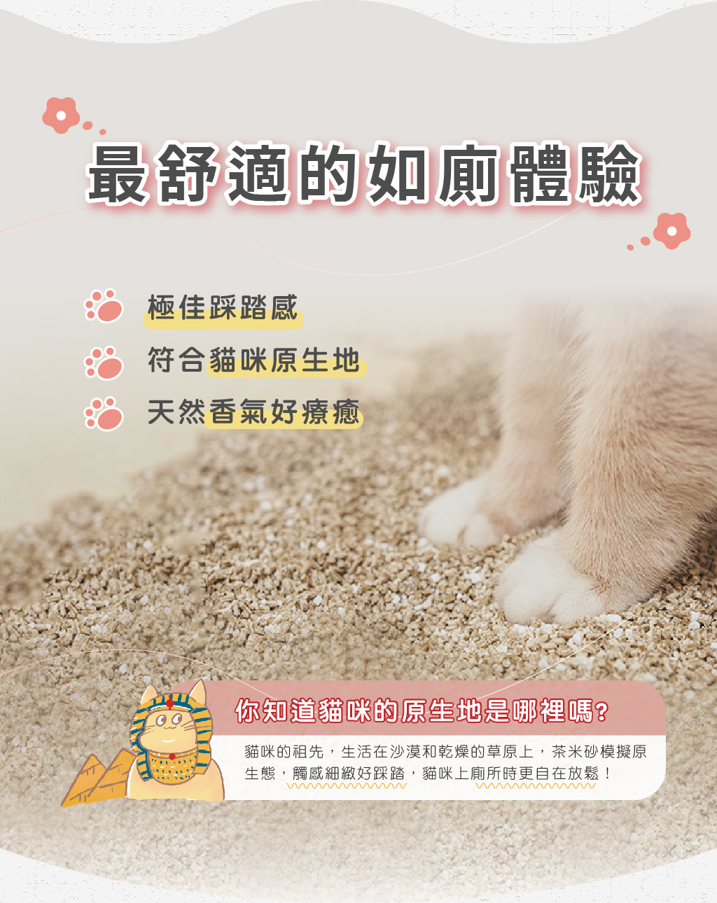 《箱購免運》 飼糧倉 | 茶米砂 益生箘除臭 2.5kg*6包