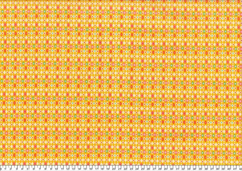 進口棉布R250424-013(一尺)