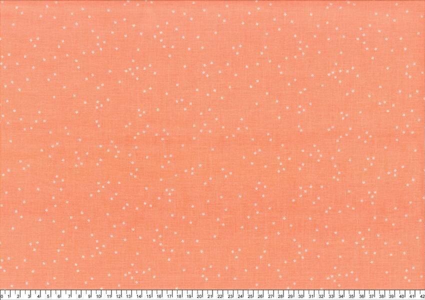 進口棉布R250424-023(一尺)