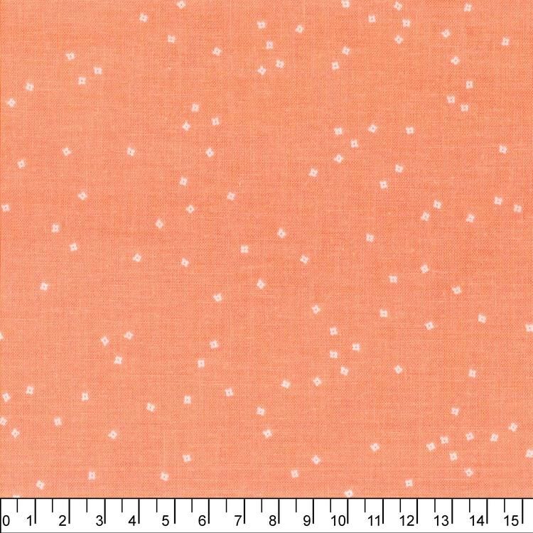 進口棉布R250424-023(一尺)