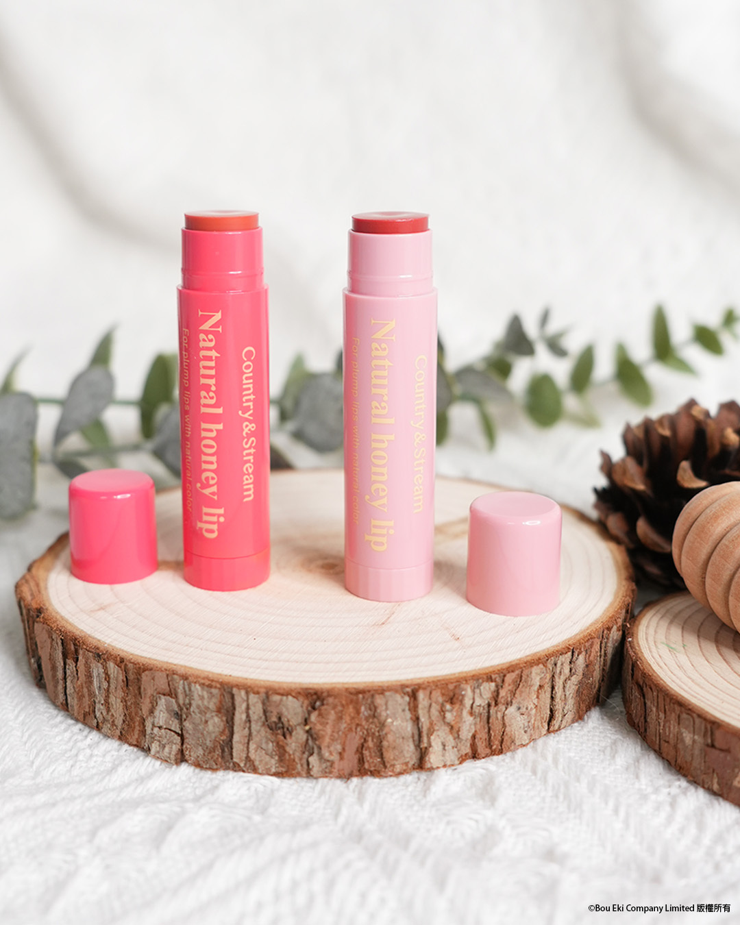 Lip Cream 蜂蜜潤唇膏 (有色豐潤版)