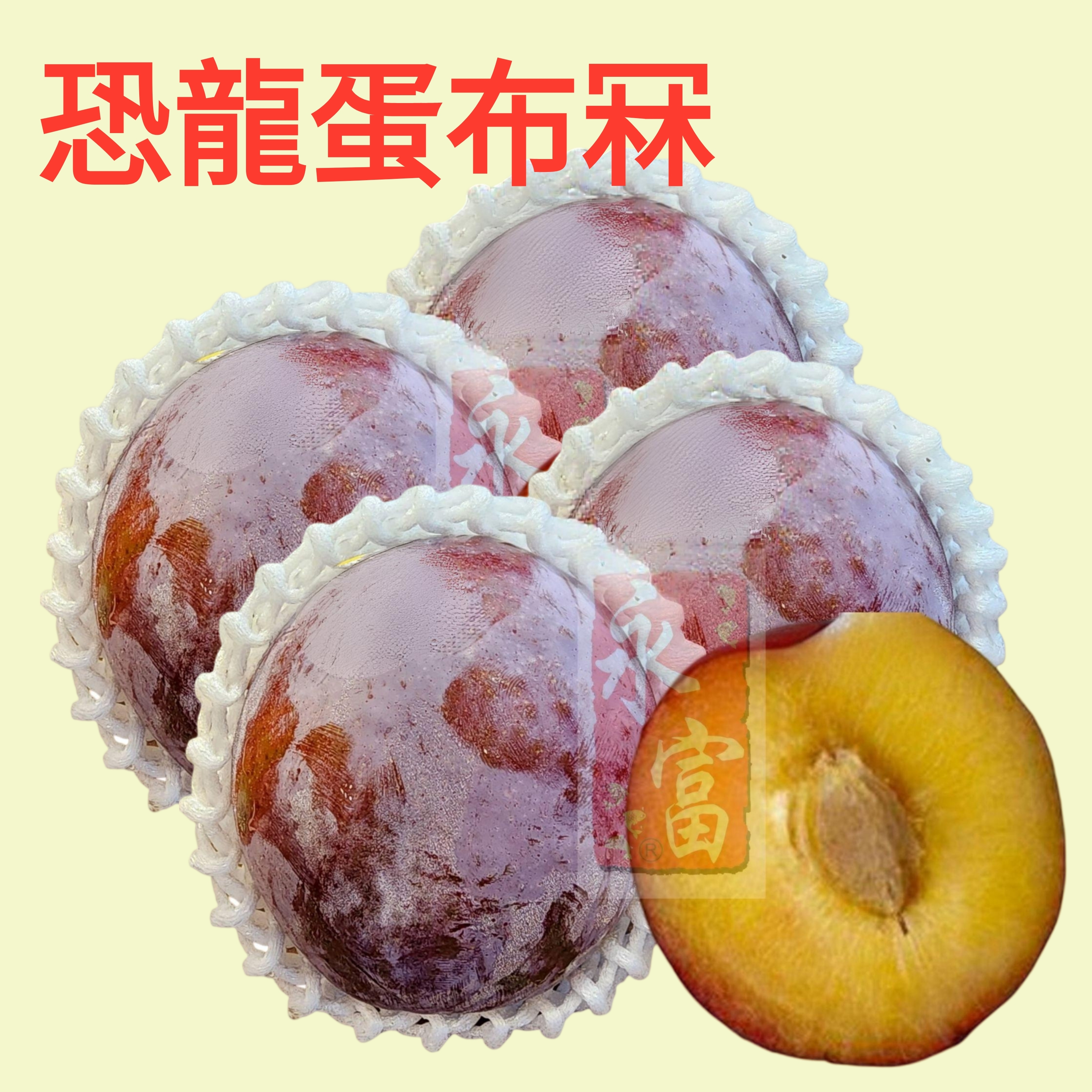 南非恐龍蛋布冧(4個)