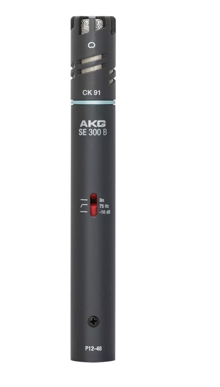 AKG C391B