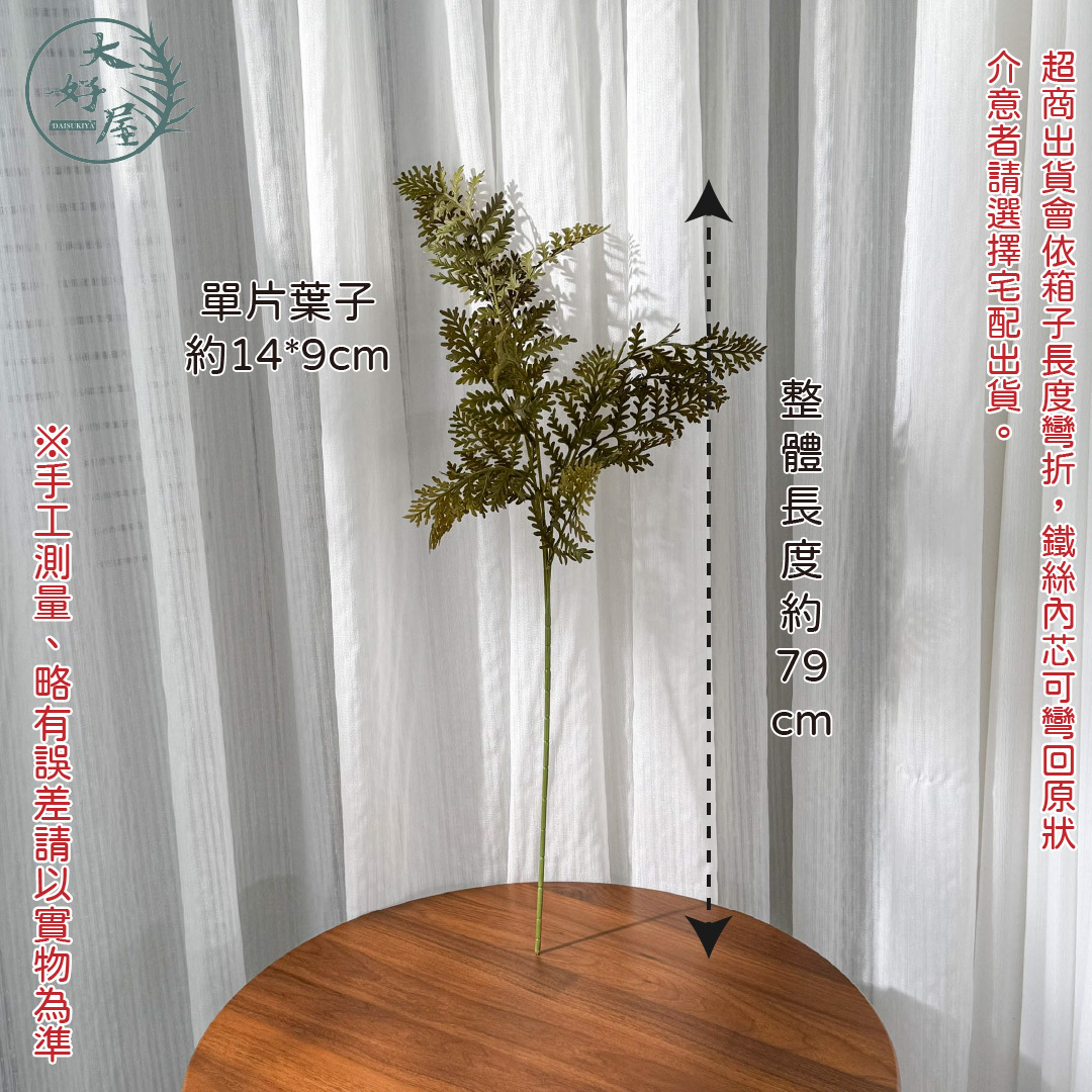 仿真鐵角蕨