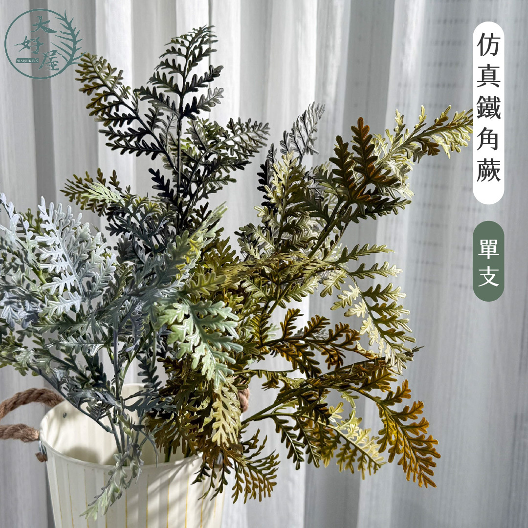 仿真鐵角蕨