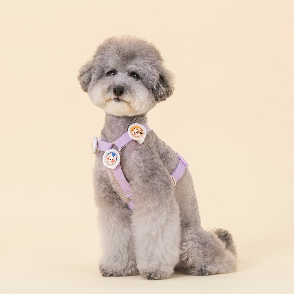 【Jungle Monster韓國叢林怪獸】寵物防蟲防蚤項圈扣夾(3色）