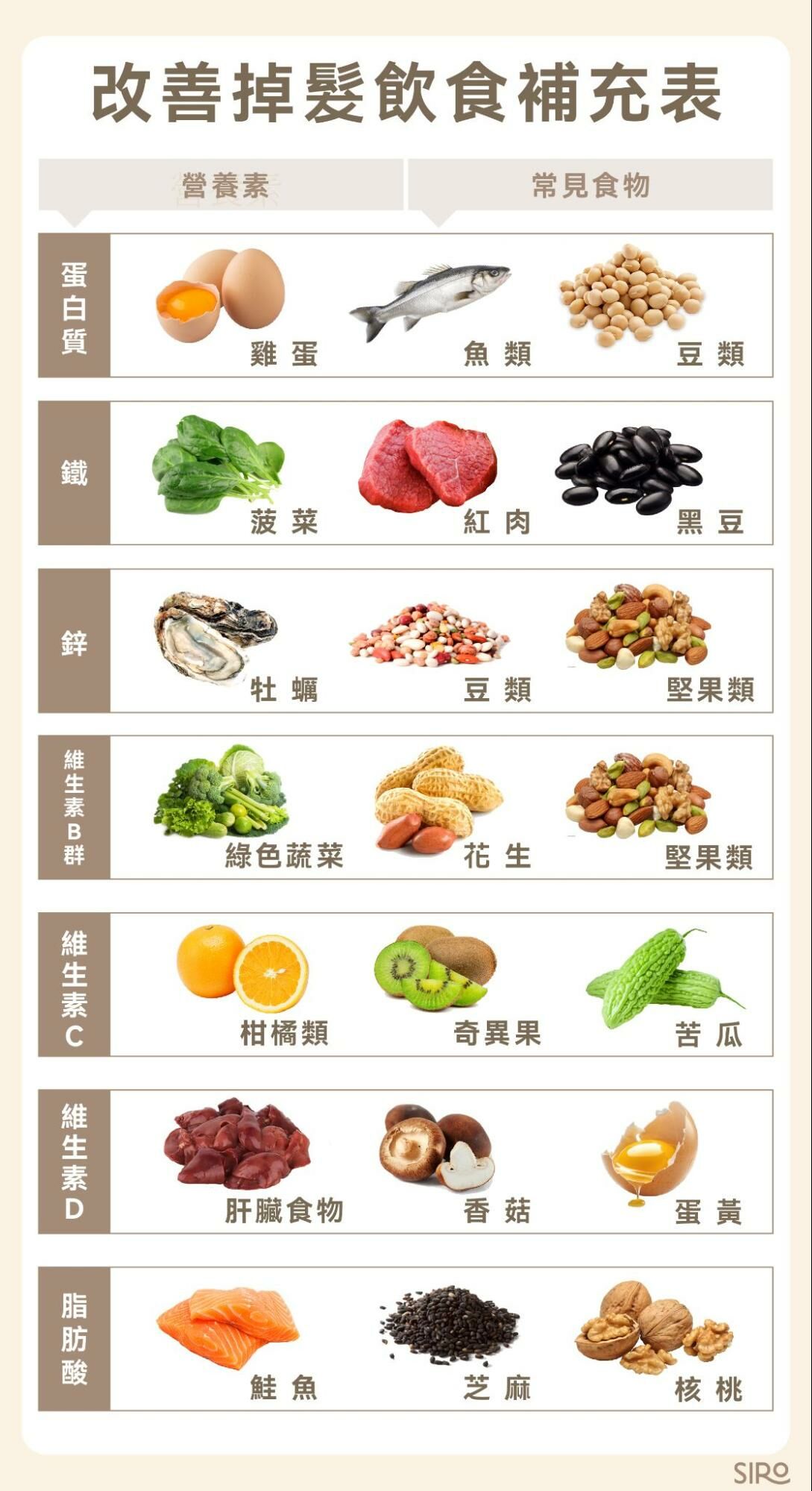 改善掉髮飲食補充表