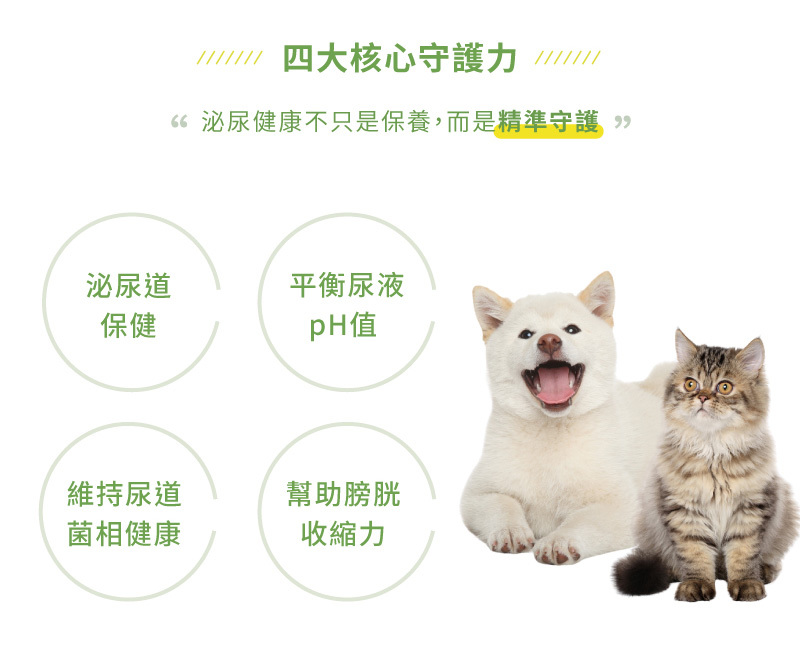 四大核心守護力,泌尿道保健,平衡尿液pH值,維持尿道菌相健康,幫助膀胱收縮力