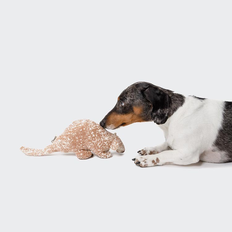 CLOUD7 - 長鼻浣熊努諾玩具