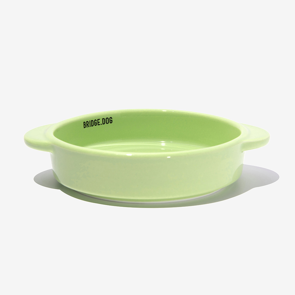 BRIDGE. DOG MINI  亮面雙耳碗 (綠)