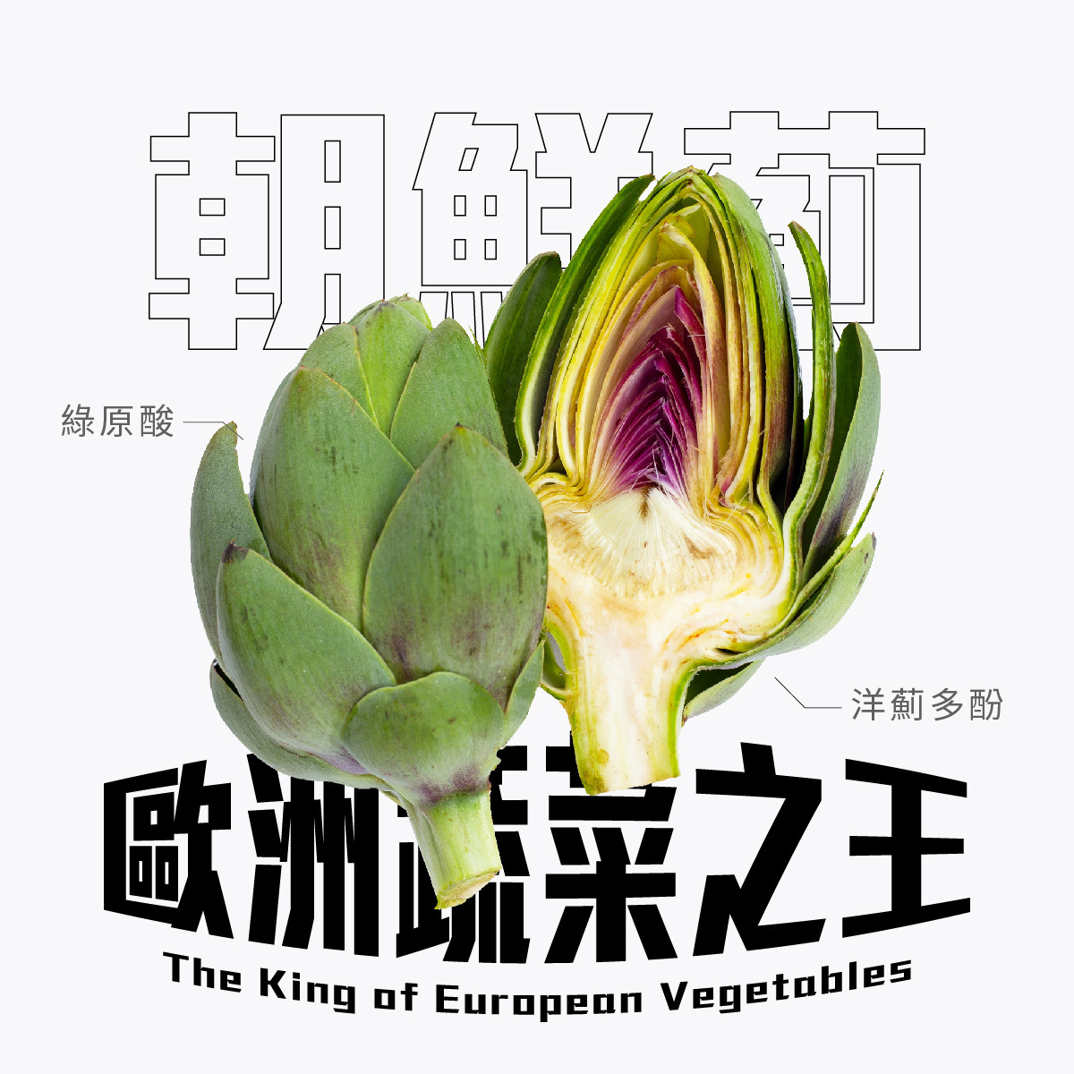 歐洲蔬菜之王朝鮮薊，幫助護肝、維持肝臟機能，提升代謝力