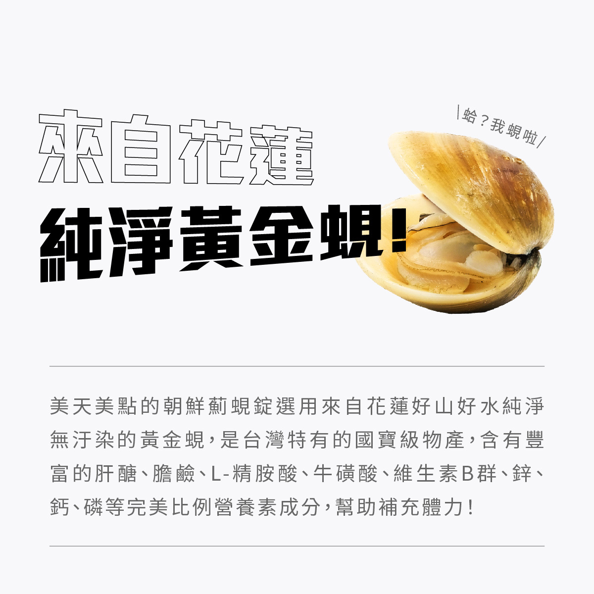 美天美點的朝鮮薊蜆錠選用來自花蓮好山好水純淨無汙染的黃金蜆