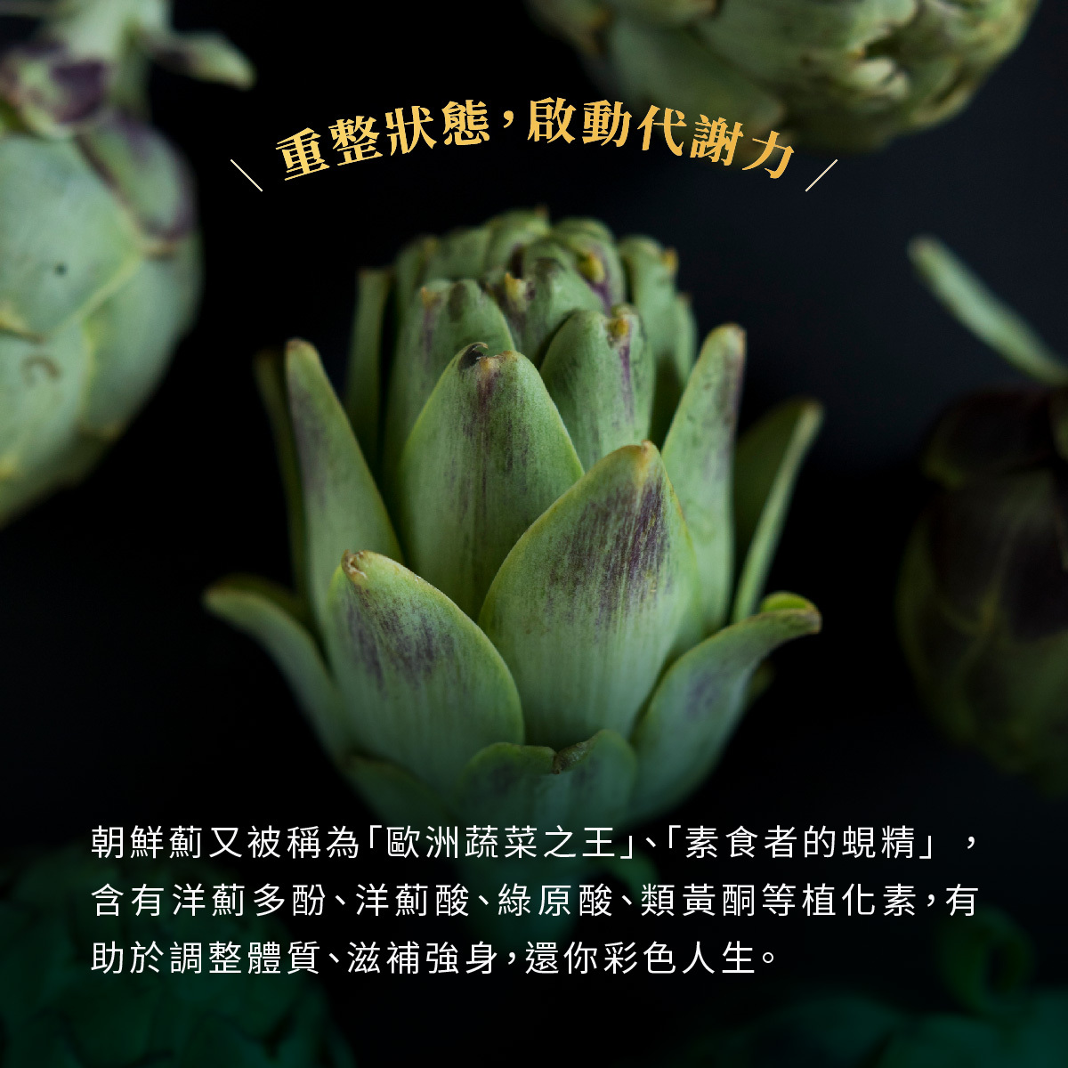 朝鮮薊含有洋薊多酚、洋薊酸、綠原酸、類黃酮等植化素，有助於調整體質、滋補強身，還你彩色人生。
