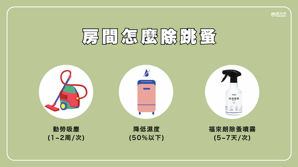 房間怎麼除跳蚤？降低屋內濕度、定期以吸塵器做清潔、適當使用除蚤藥