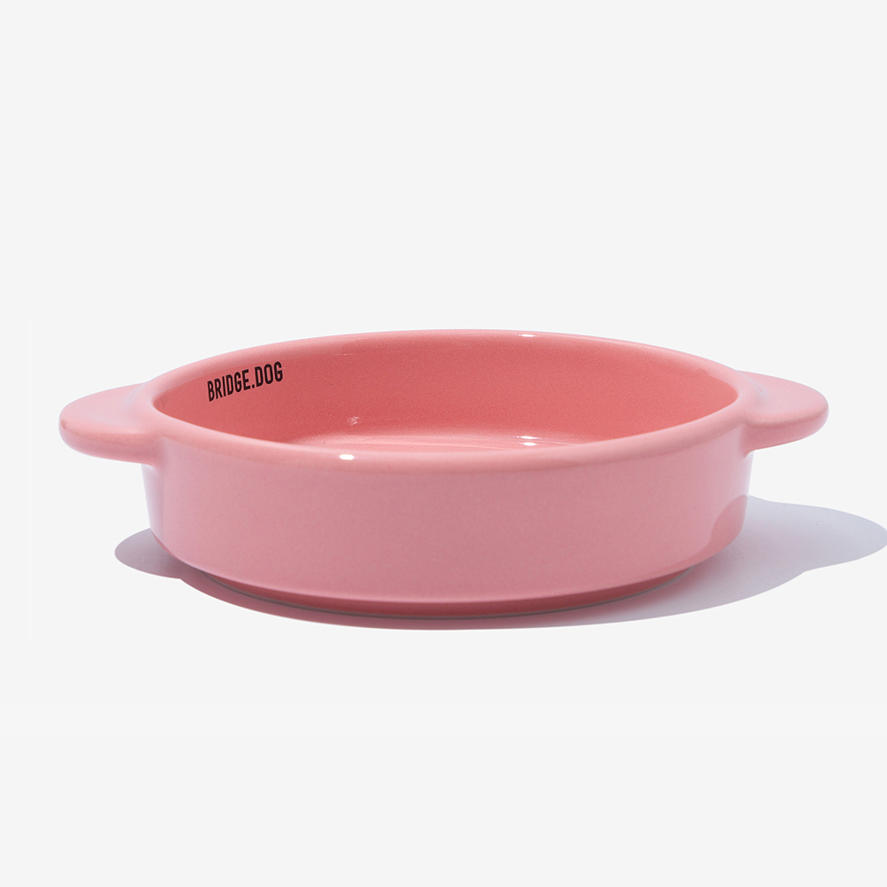 BRIDGE. DOG MINI  亮面雙耳碗 (珊瑚粉)