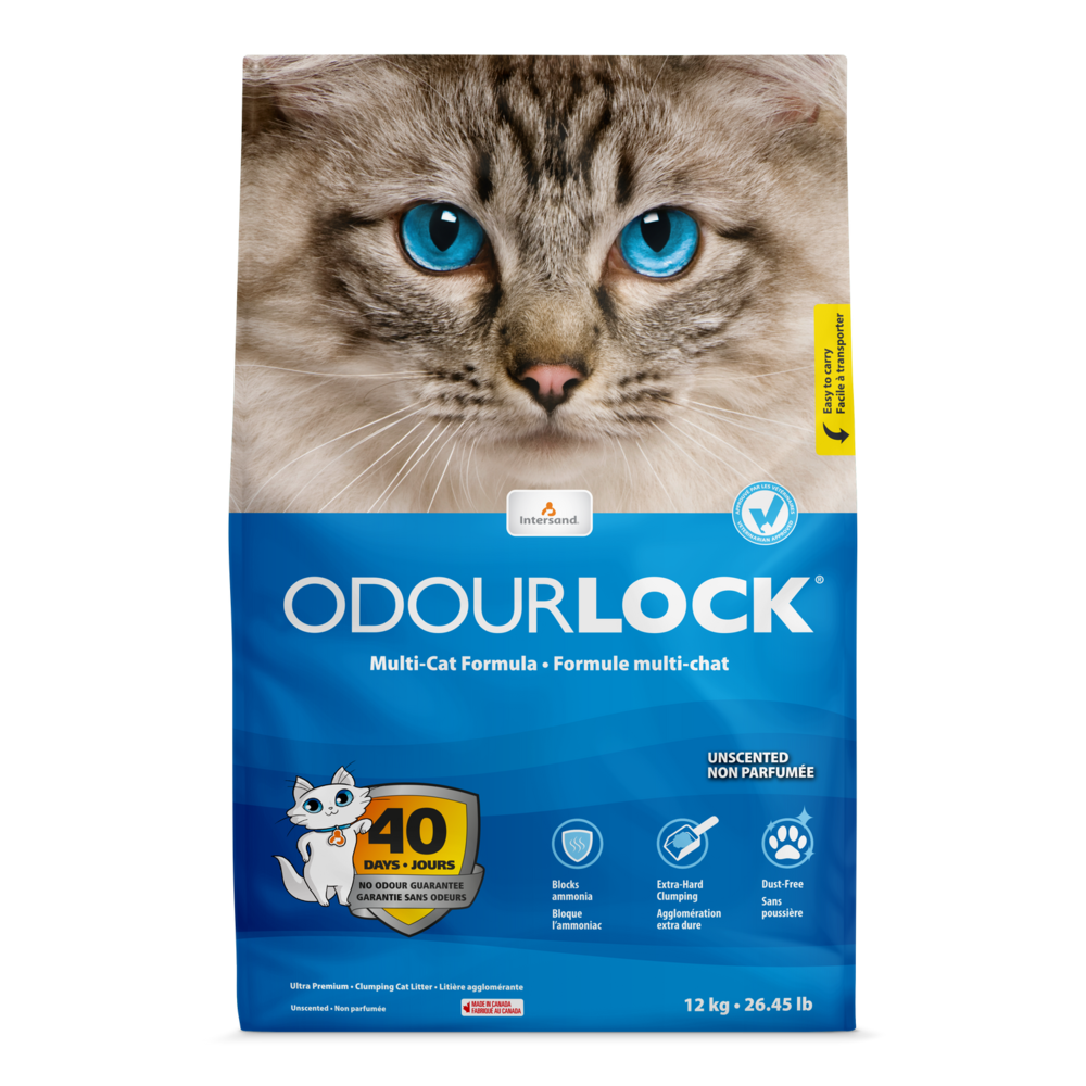 加拿大Intersand｜白晶強力凝結細砂-無味12kg