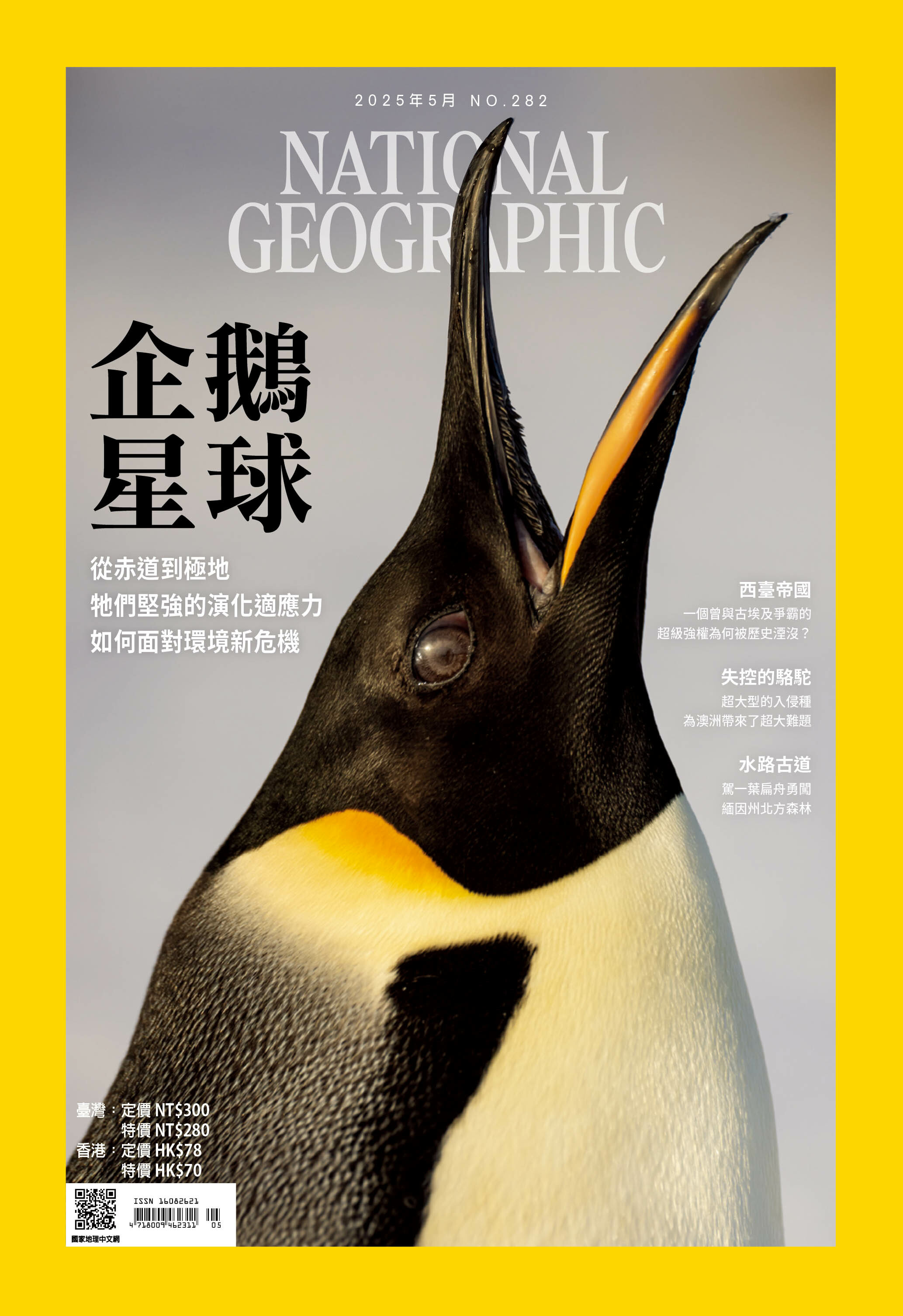 國家地理雜誌_雜誌282期2025年5月號-企鵝星球-從赤道到極地、牠們堅強的演化適應力、如何面對環境新危機
