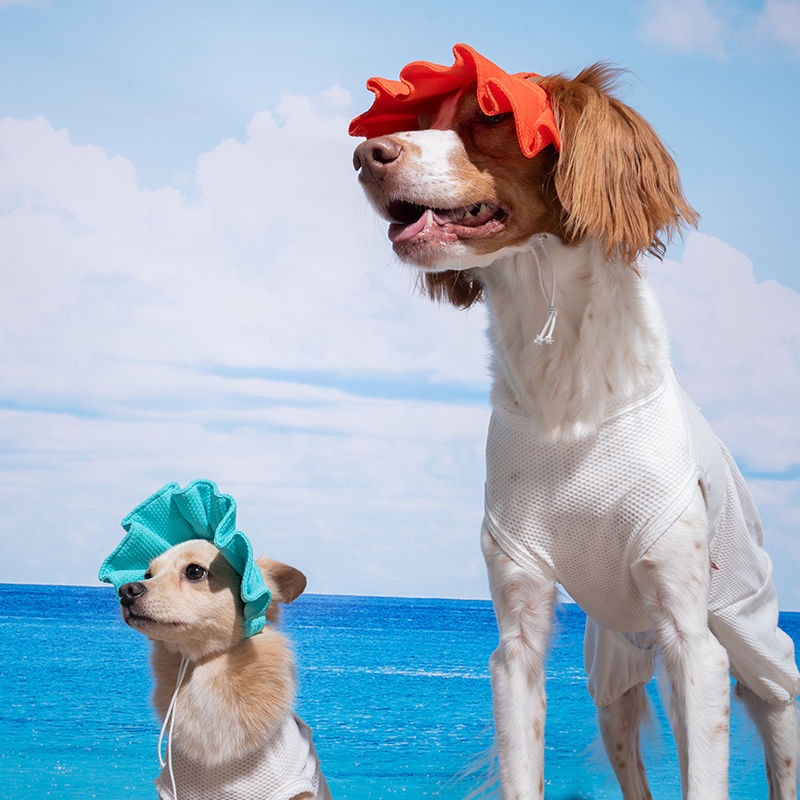 Puppy Gallery -果凍熊涼感百褶帽(三色）