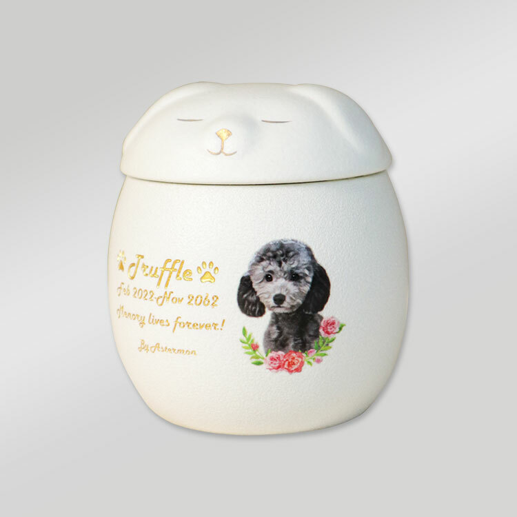 Pets Urn - Smiling Face Cat and Dog Pet Urn with Memorial Card