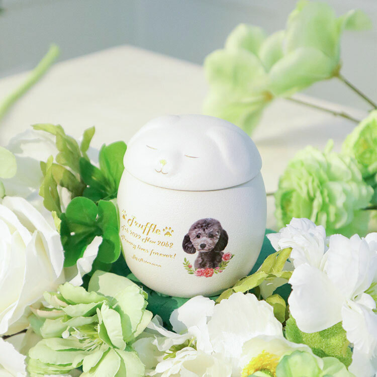 Pets Urn - Smiling Face Cat and Dog Pet Urn with Memorial Card