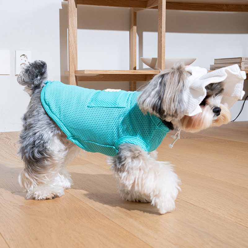 Puppy Gallery - 果凍熊涼感洞洞裝(三色）