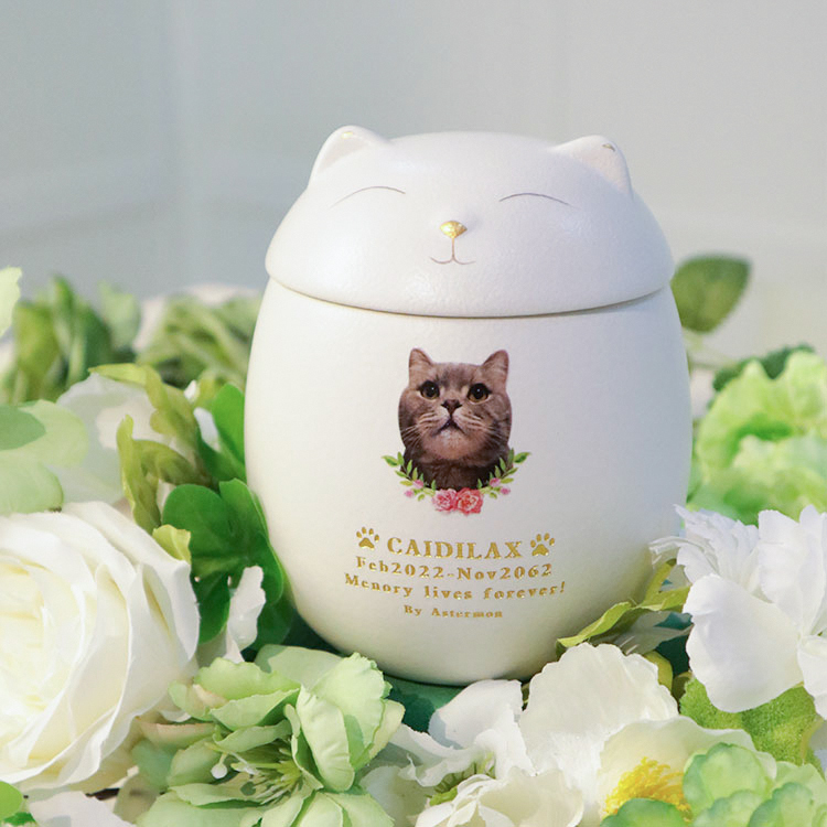 Pets Urn - Smiling Face Cat and Dog Pet Urn with Memorial Card