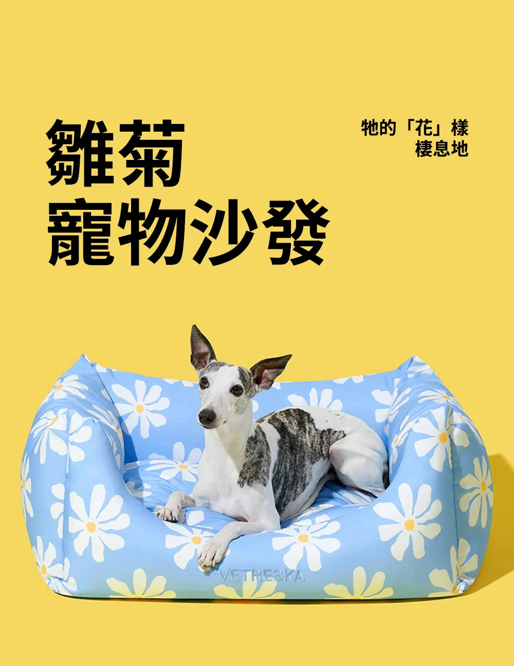 Vetreska 小雛菊防水抗菌寵物梳化床