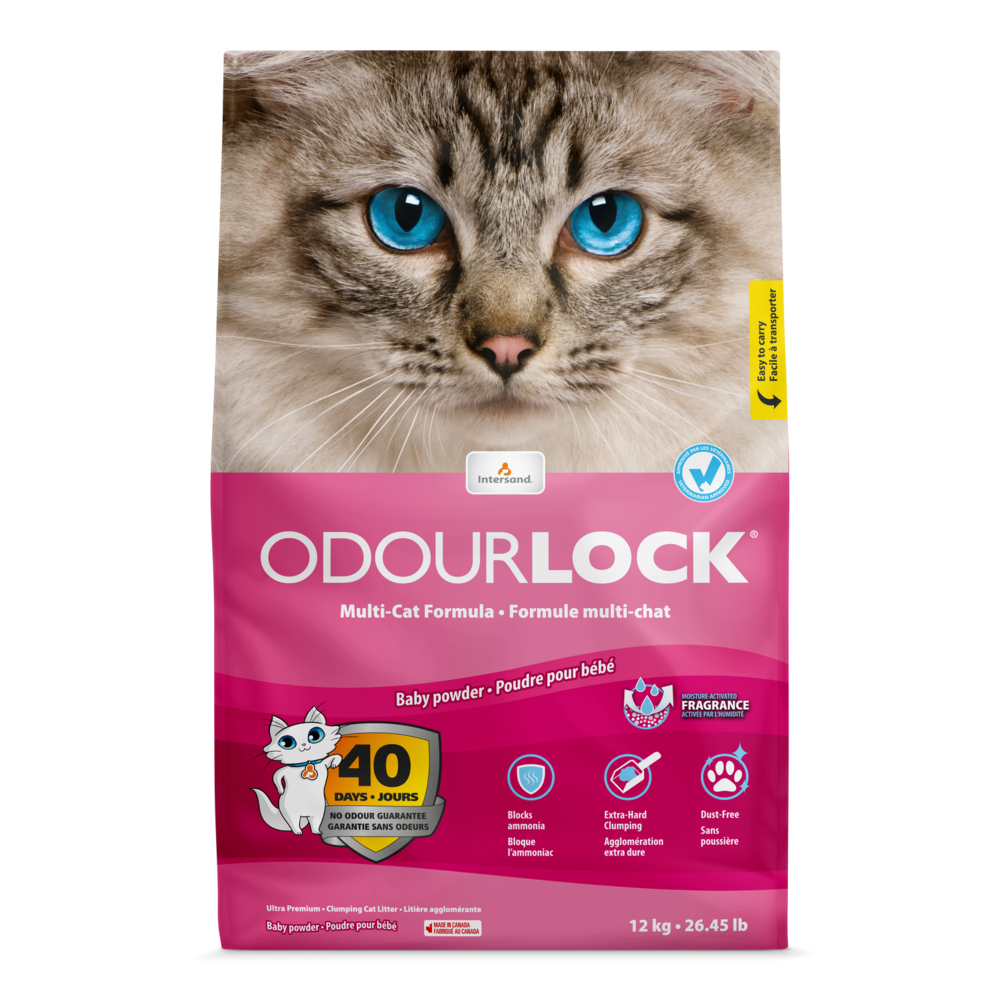 加拿大Intersand｜白晶強力凝結細砂-嬰兒香12kg