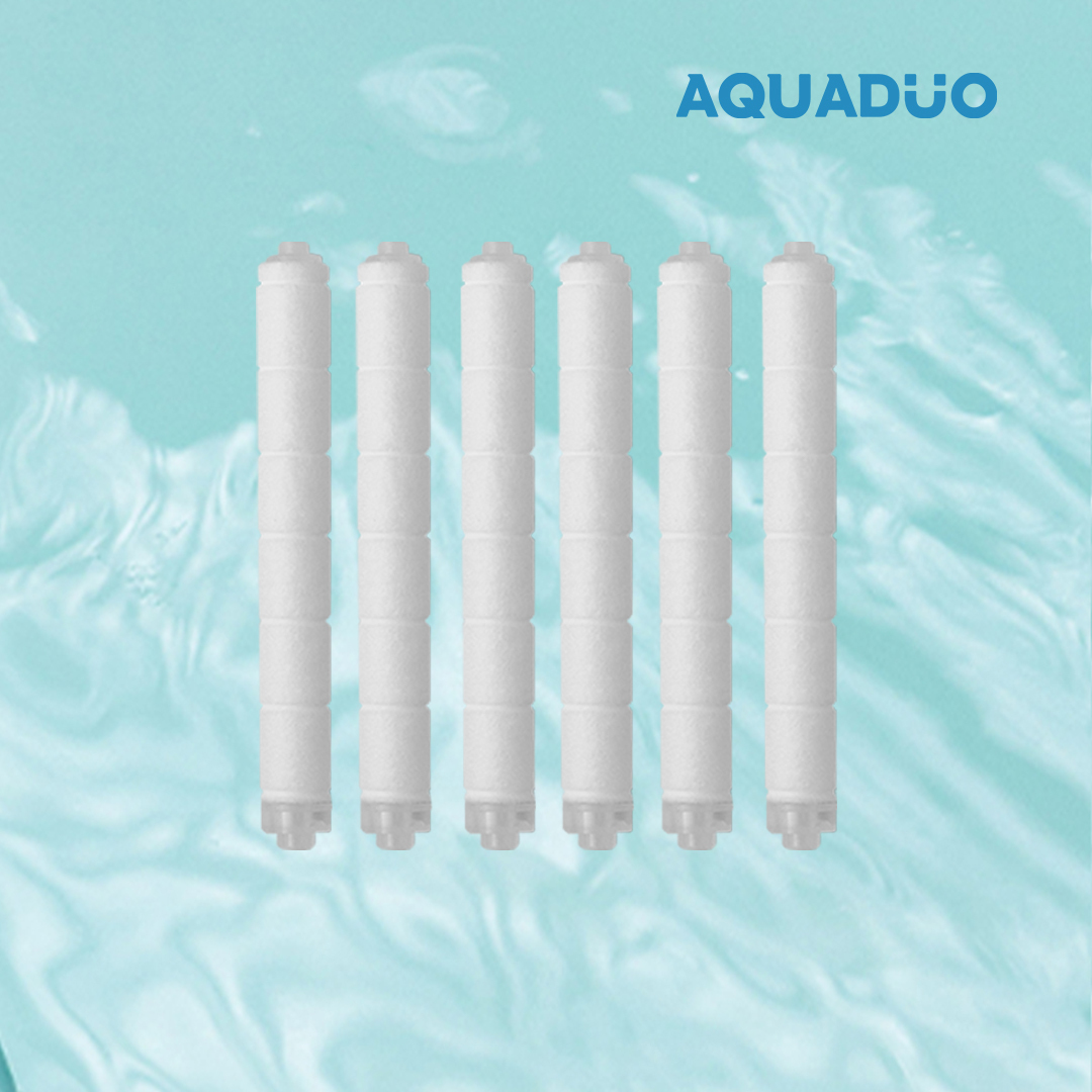 ALUB N°13 鋁製沐浴過濾花灑頭除雜質濾芯 (6件裝) ALUB-SED-R6