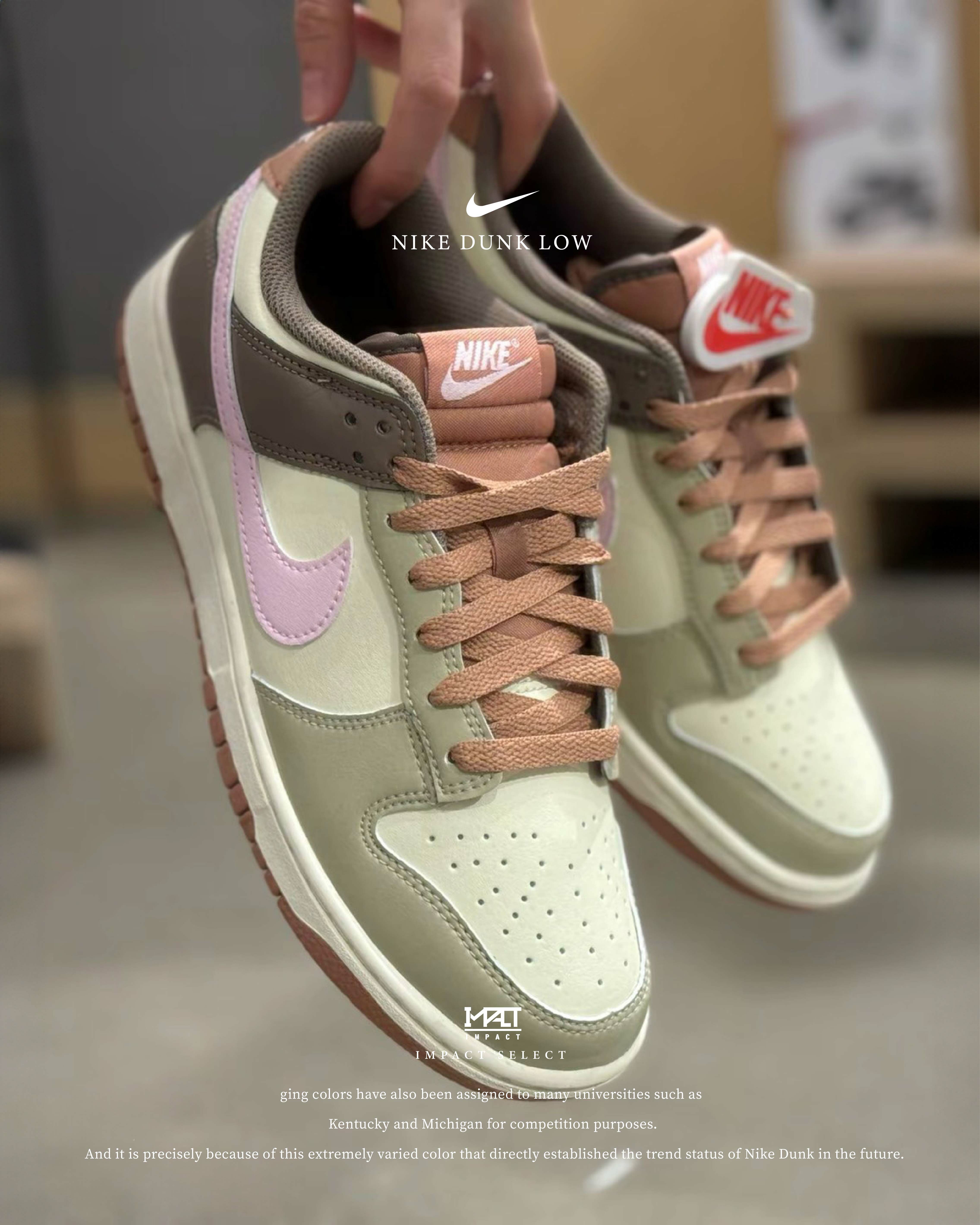 Nike Dunk Low 淺綠 咖啡 粉色 休閒鞋 男款 HF5441-200