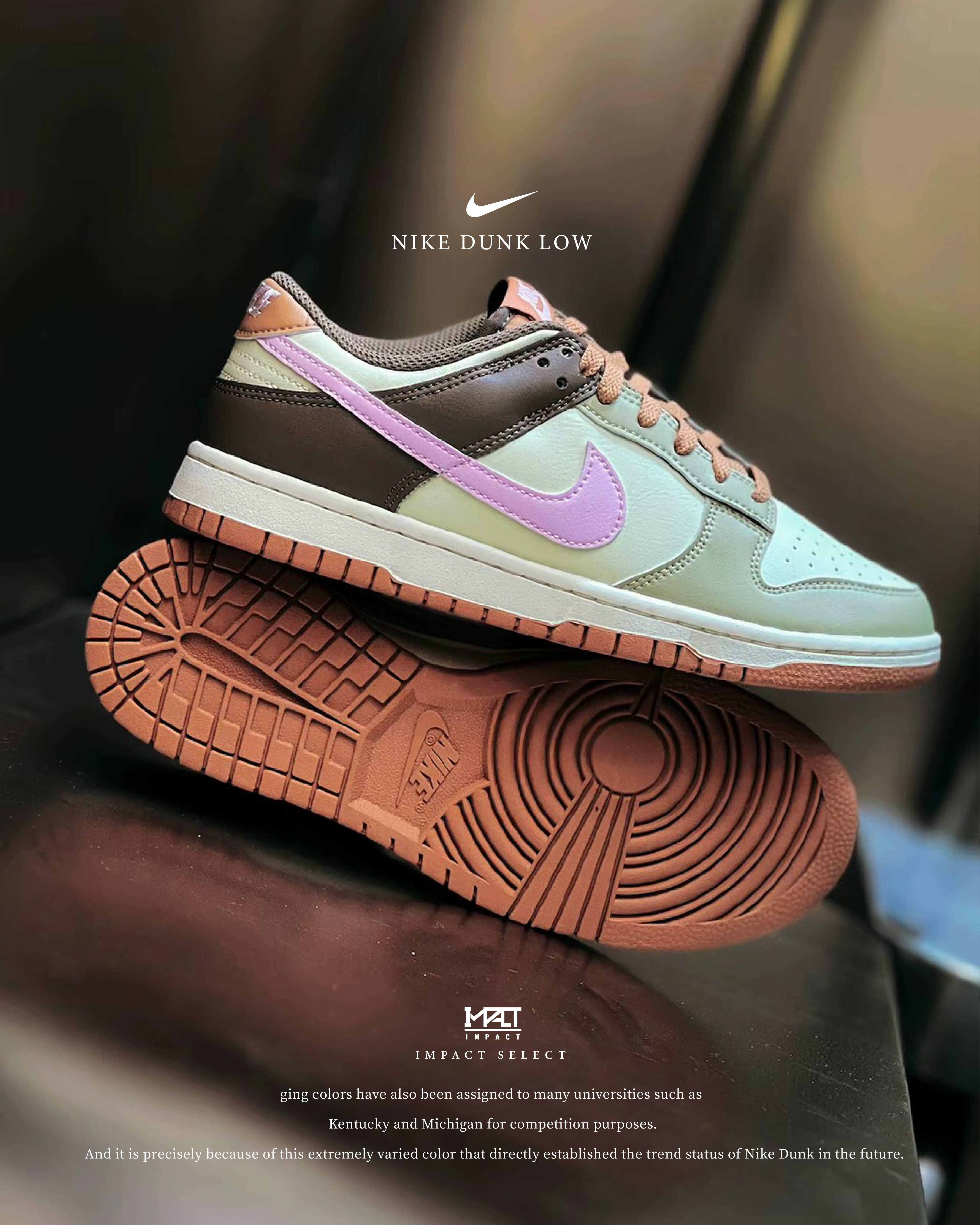 Nike Dunk Low 淺綠 咖啡 粉色 休閒鞋 男款 HF5441-200