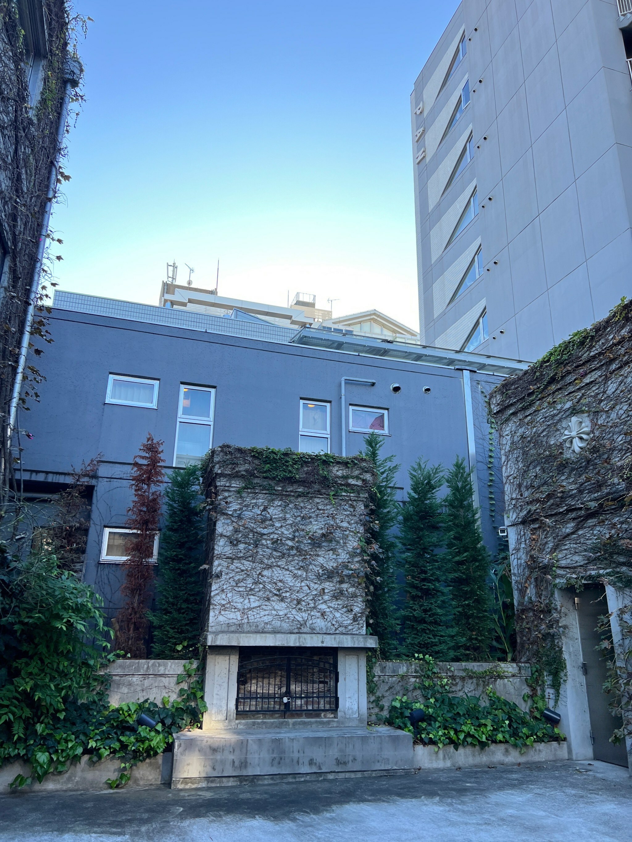 中庭綠意與混凝土結構交錯，營造出與都市隔絕的寧靜氛圍。