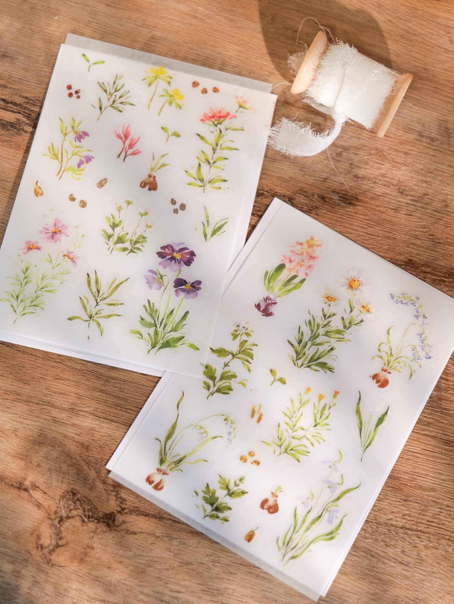 Meow Illustration．花開的樣子 轉印貼紙