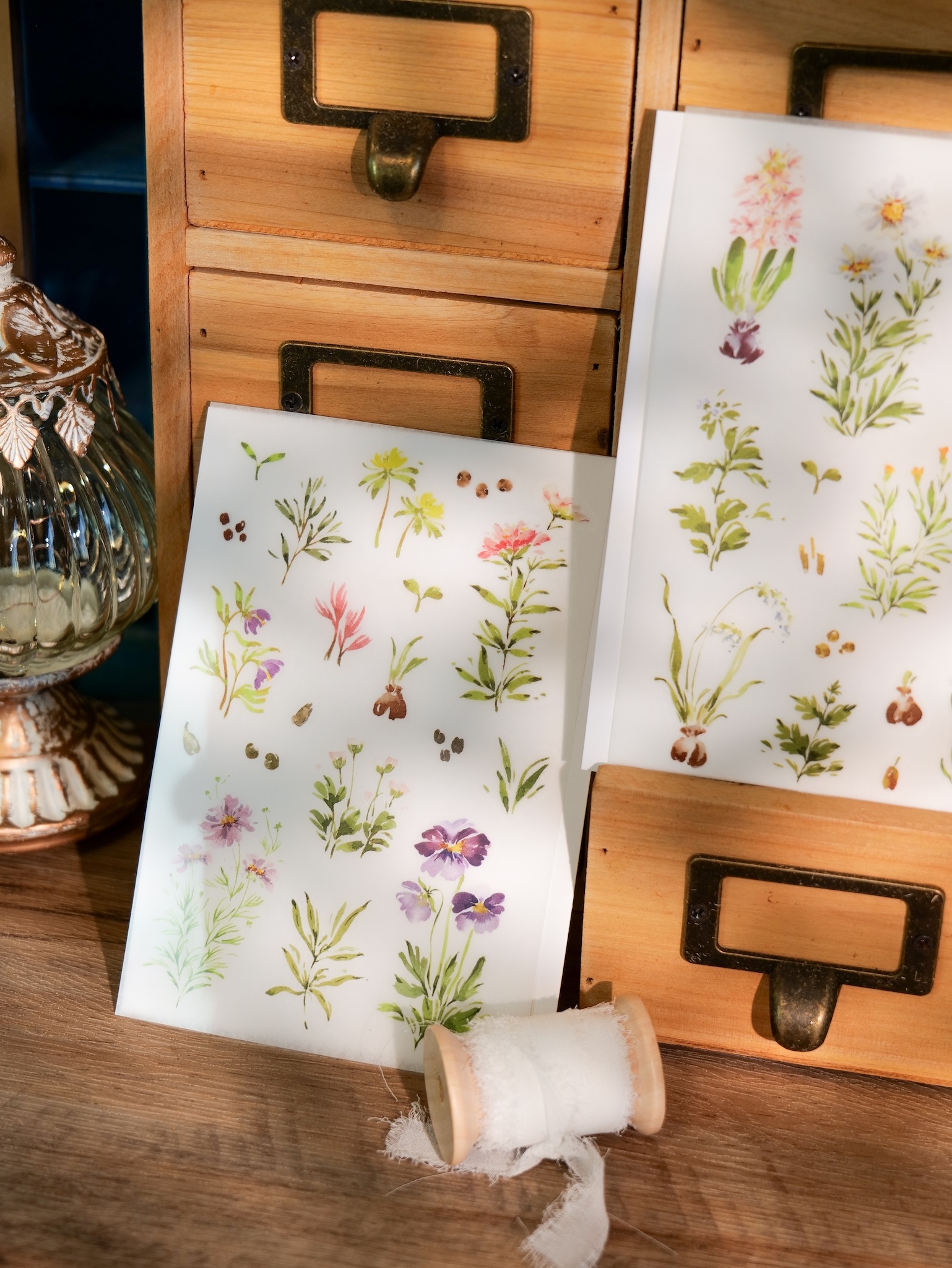 Meow Illustration．花開的樣子 轉印貼紙