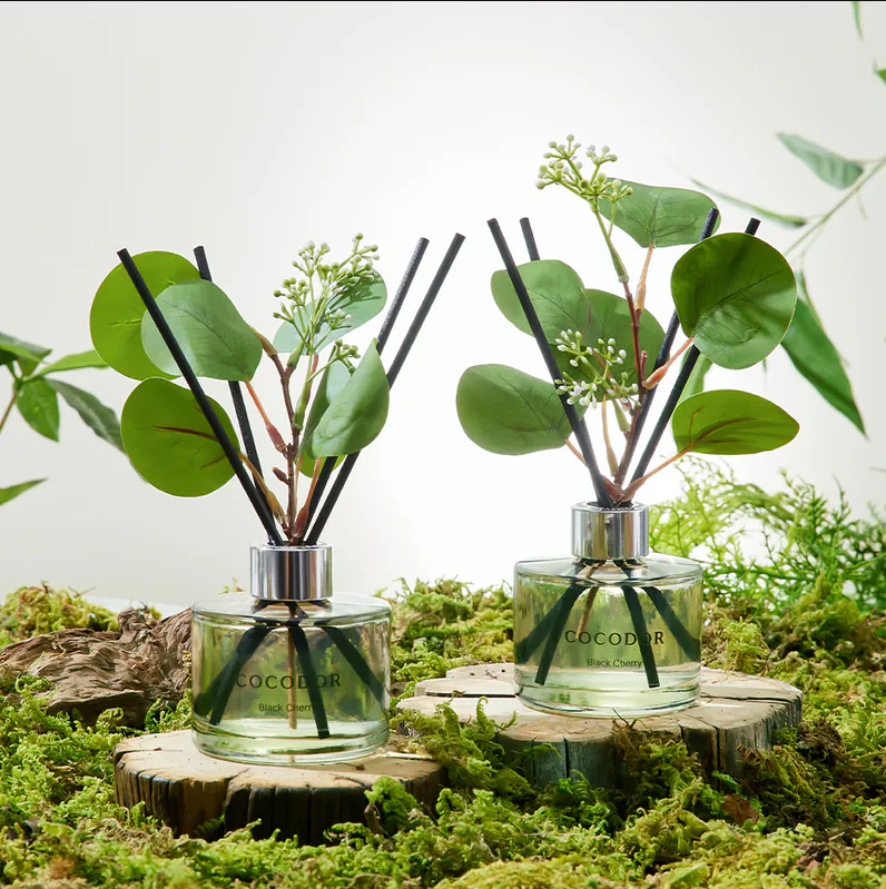 【直播】COCODOR LL042609 森林系列擴香瓶 120ml