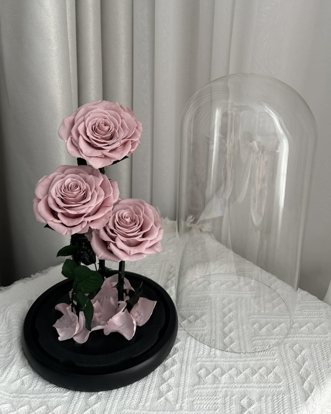 【現貨】<永遠愛你💕>520 永生花 玫瑰花 LED燈 禮盒