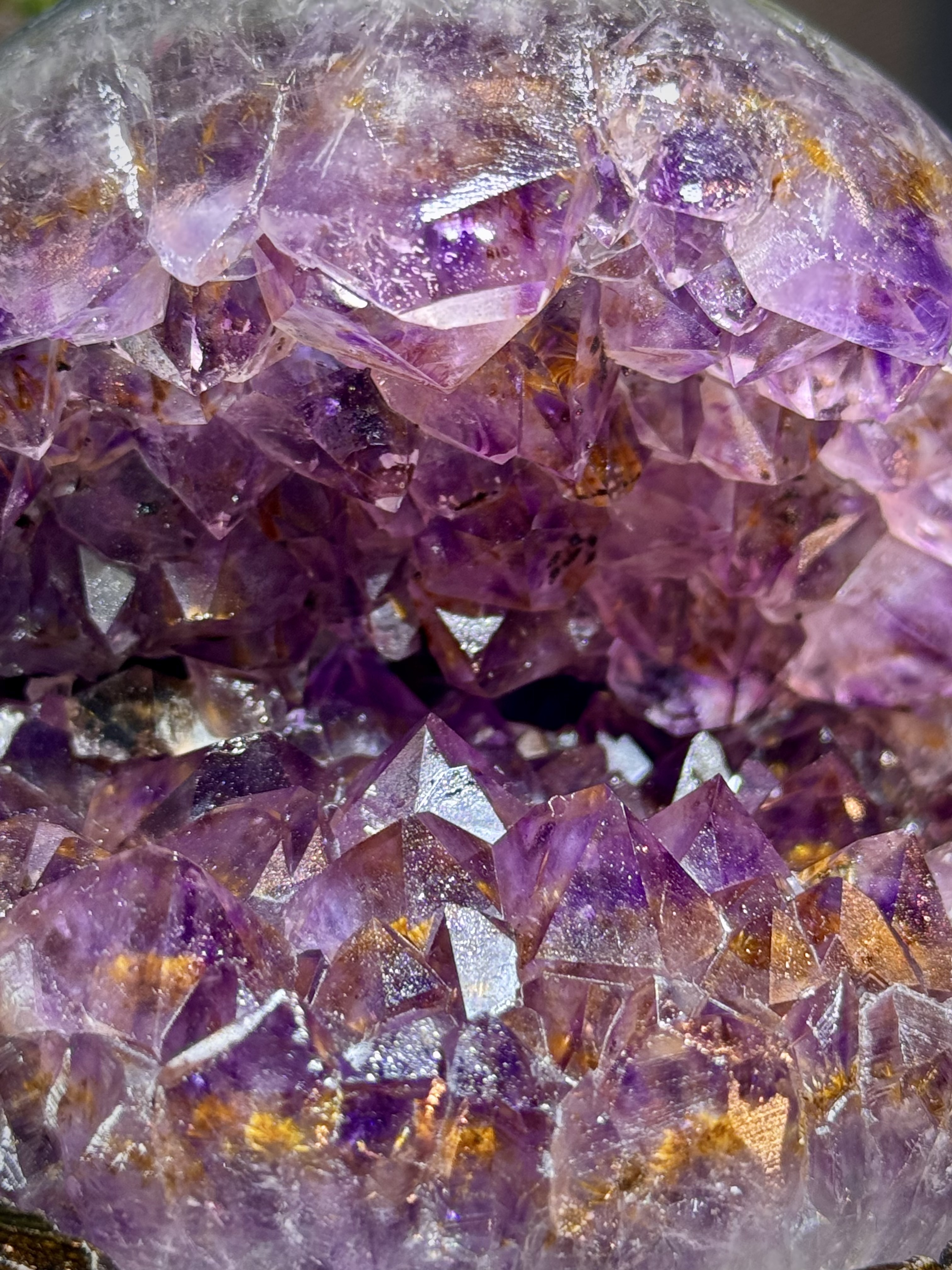 天花板紫鈦開口笑 8801