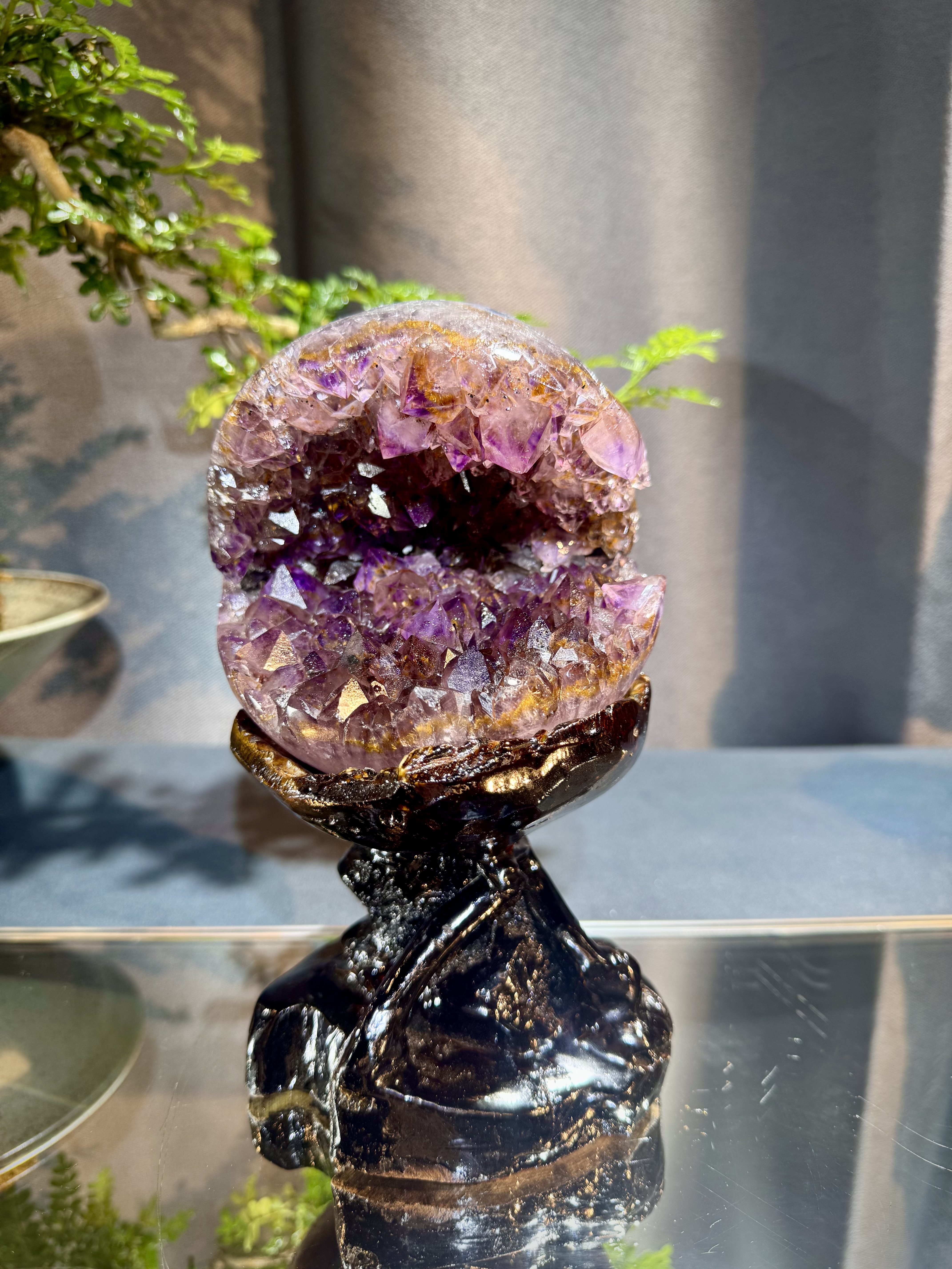 天花板紫鈦開口笑 8802