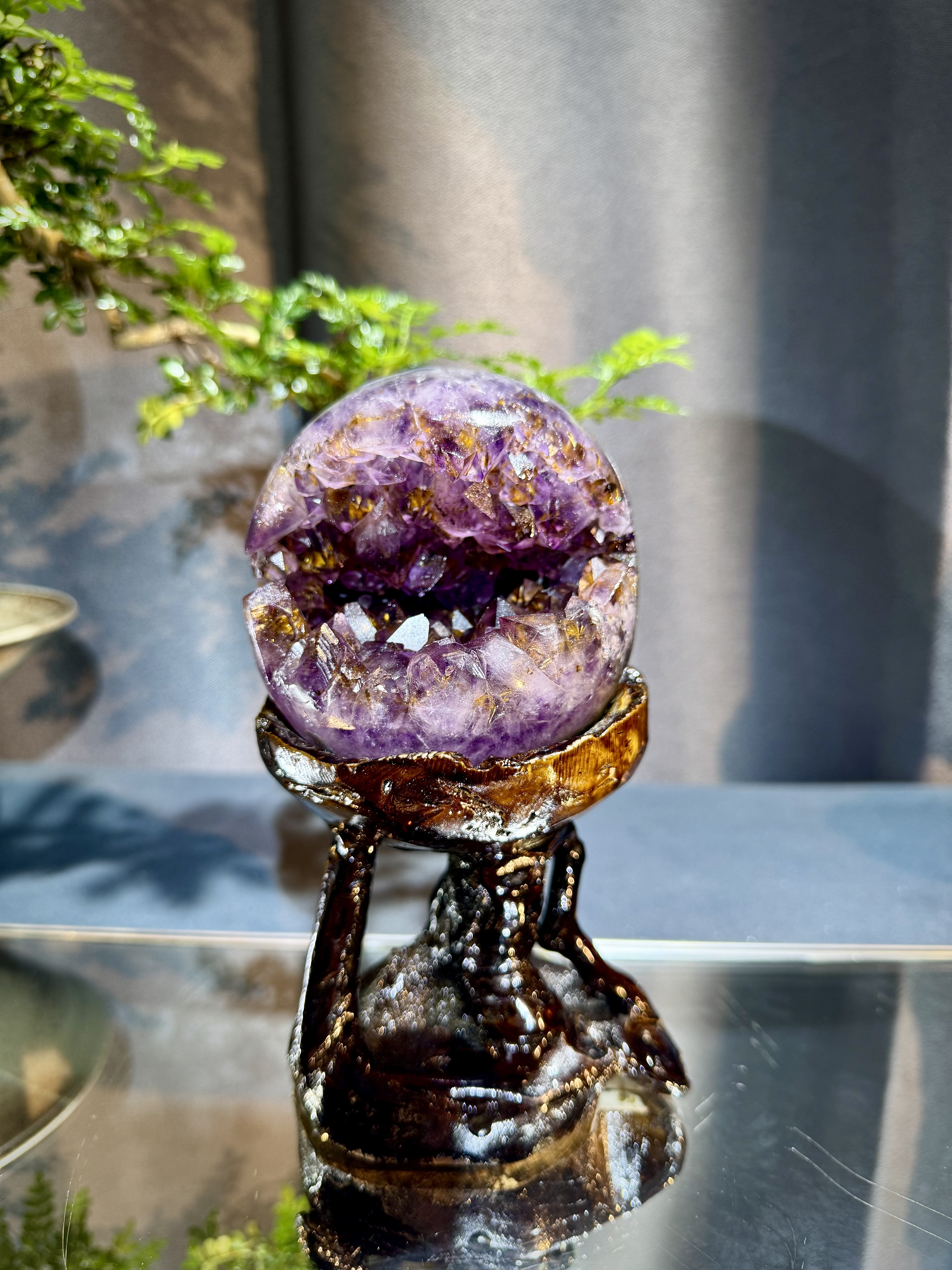 天花板紫鈦開口笑 8804