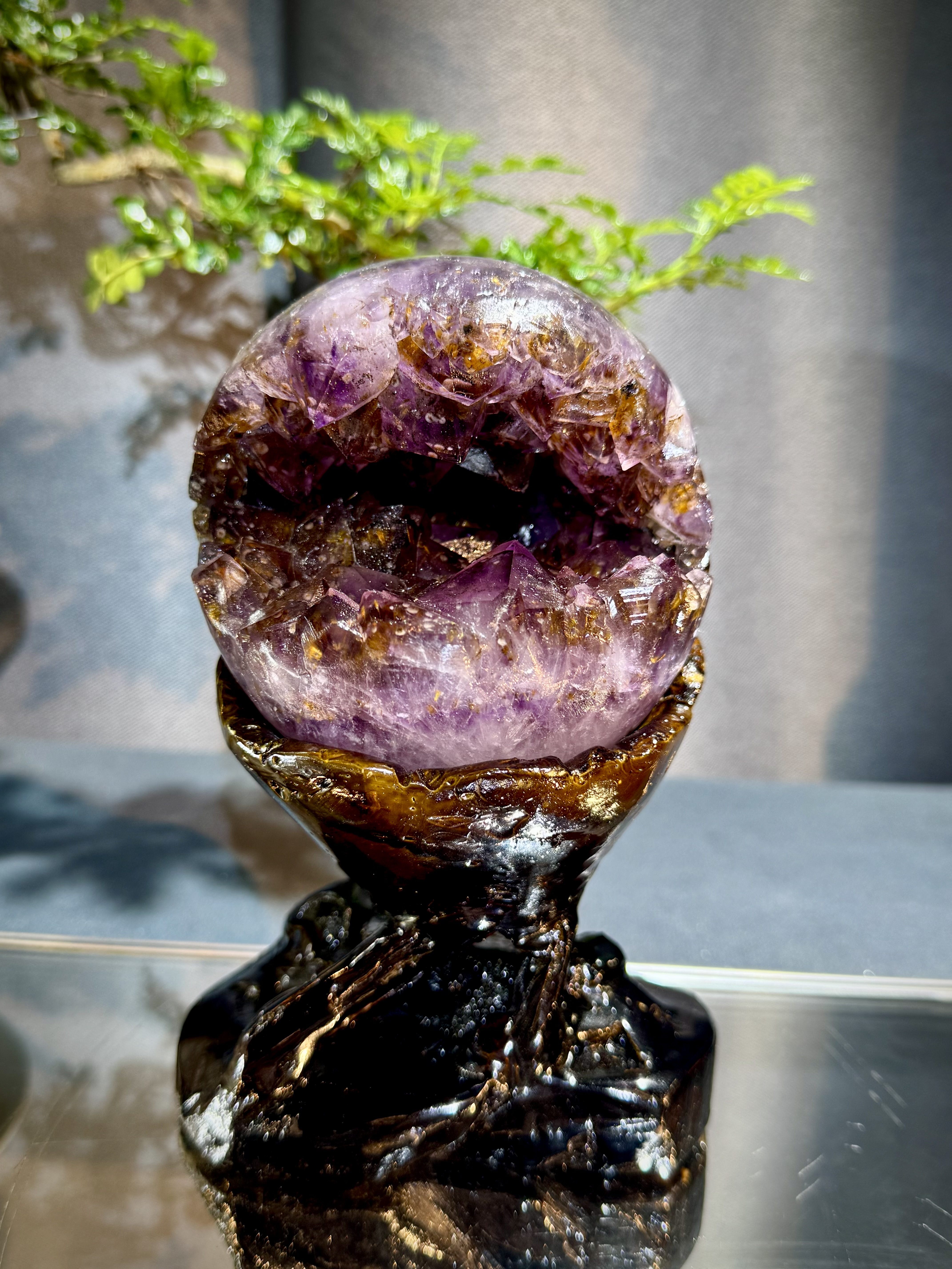 天花板紫鈦開口笑 8805