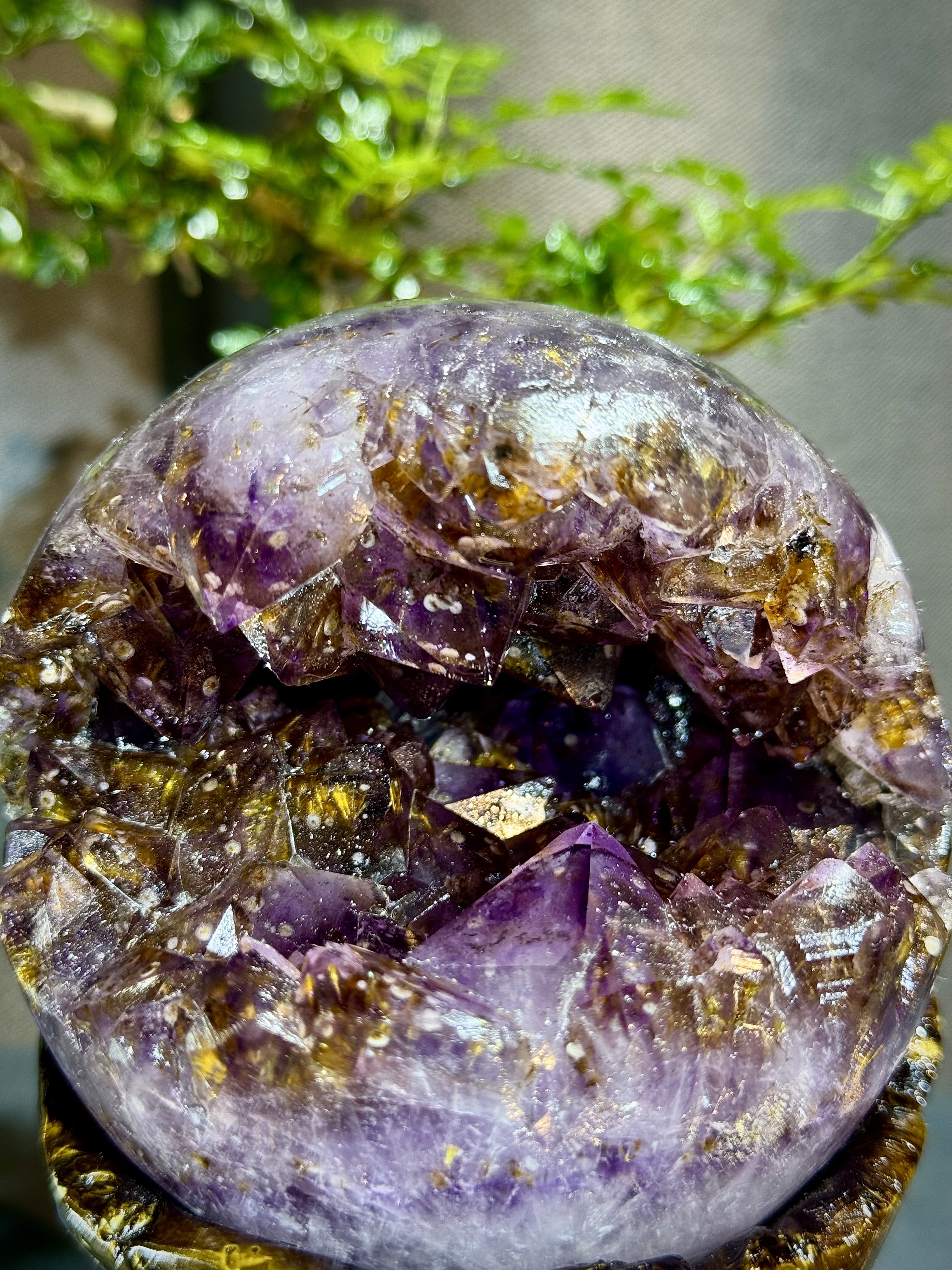 天花板紫鈦開口笑 8805