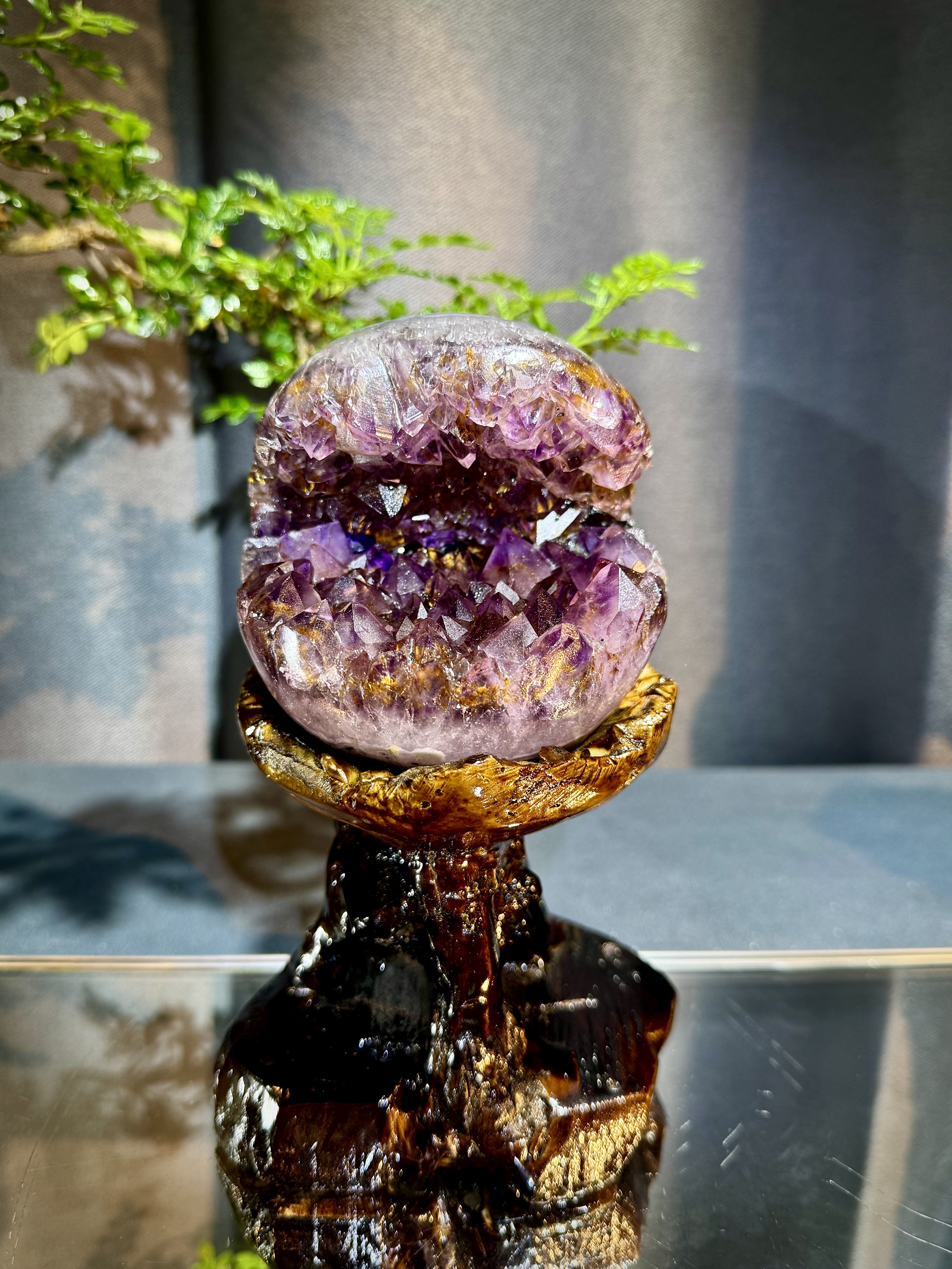 天花板紫鈦開口笑 8806