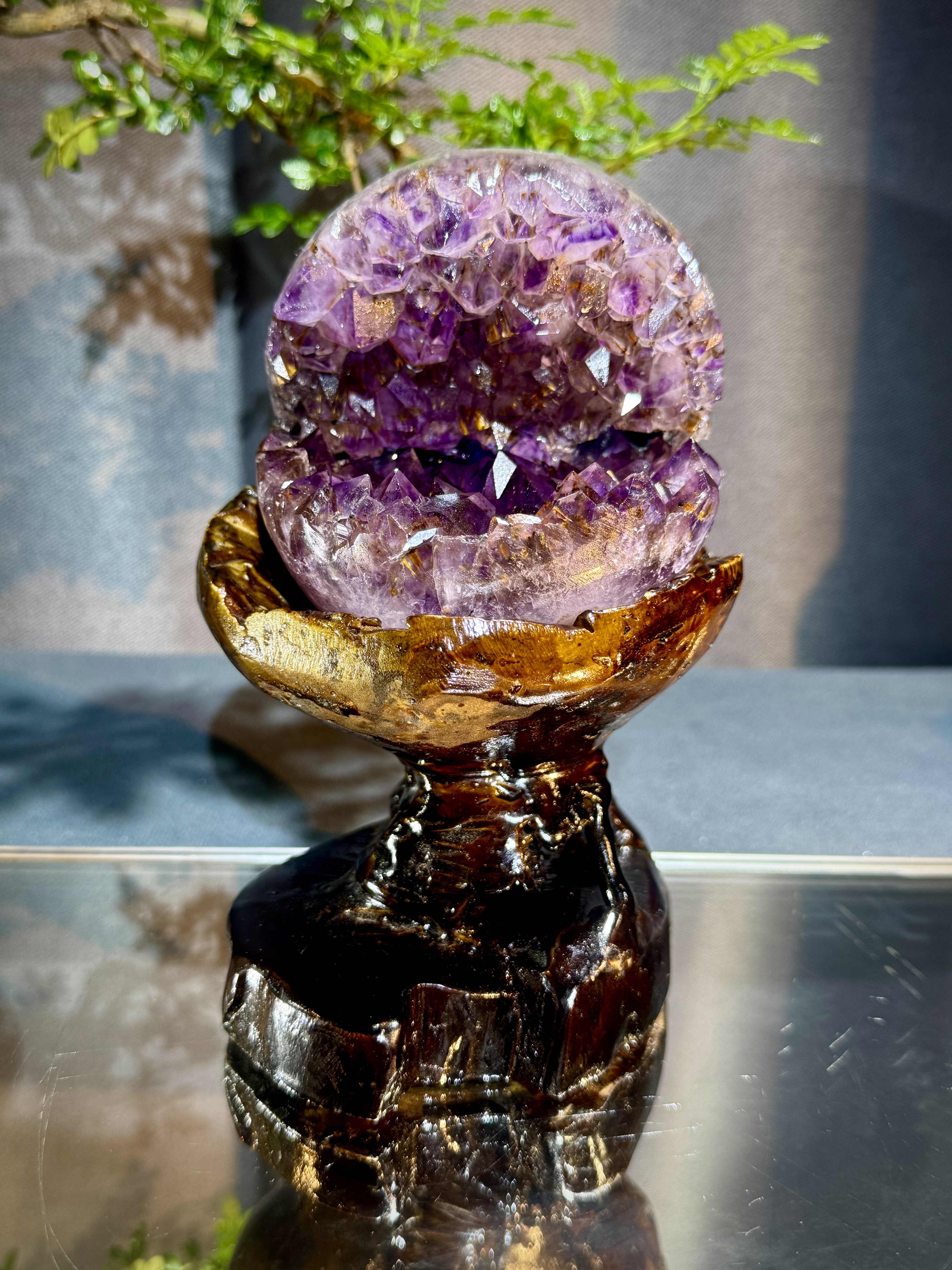 天花板紫鈦開口笑 8807