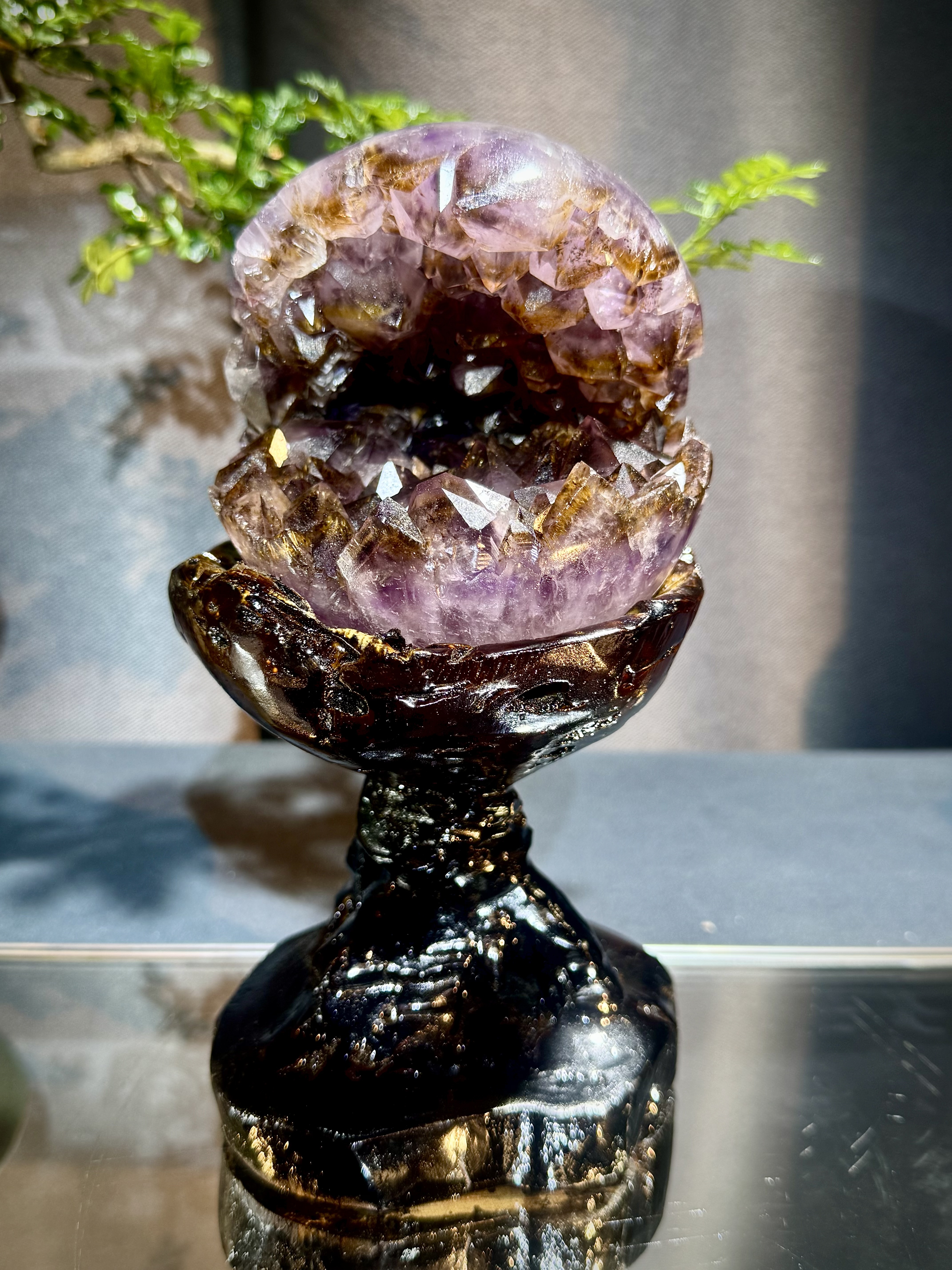 天花板紫鈦開口笑 8809