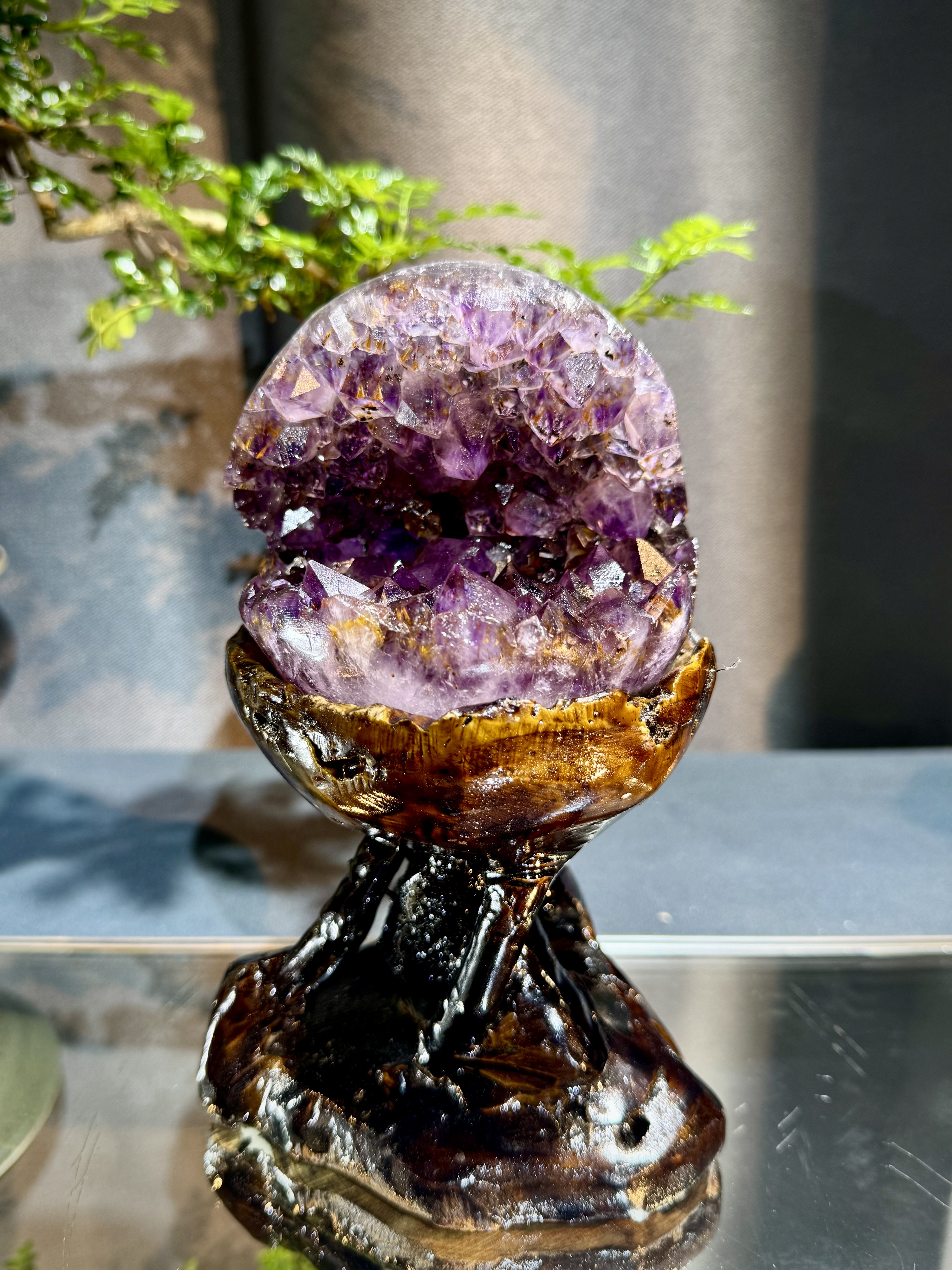 天花板紫鈦開口笑 8810