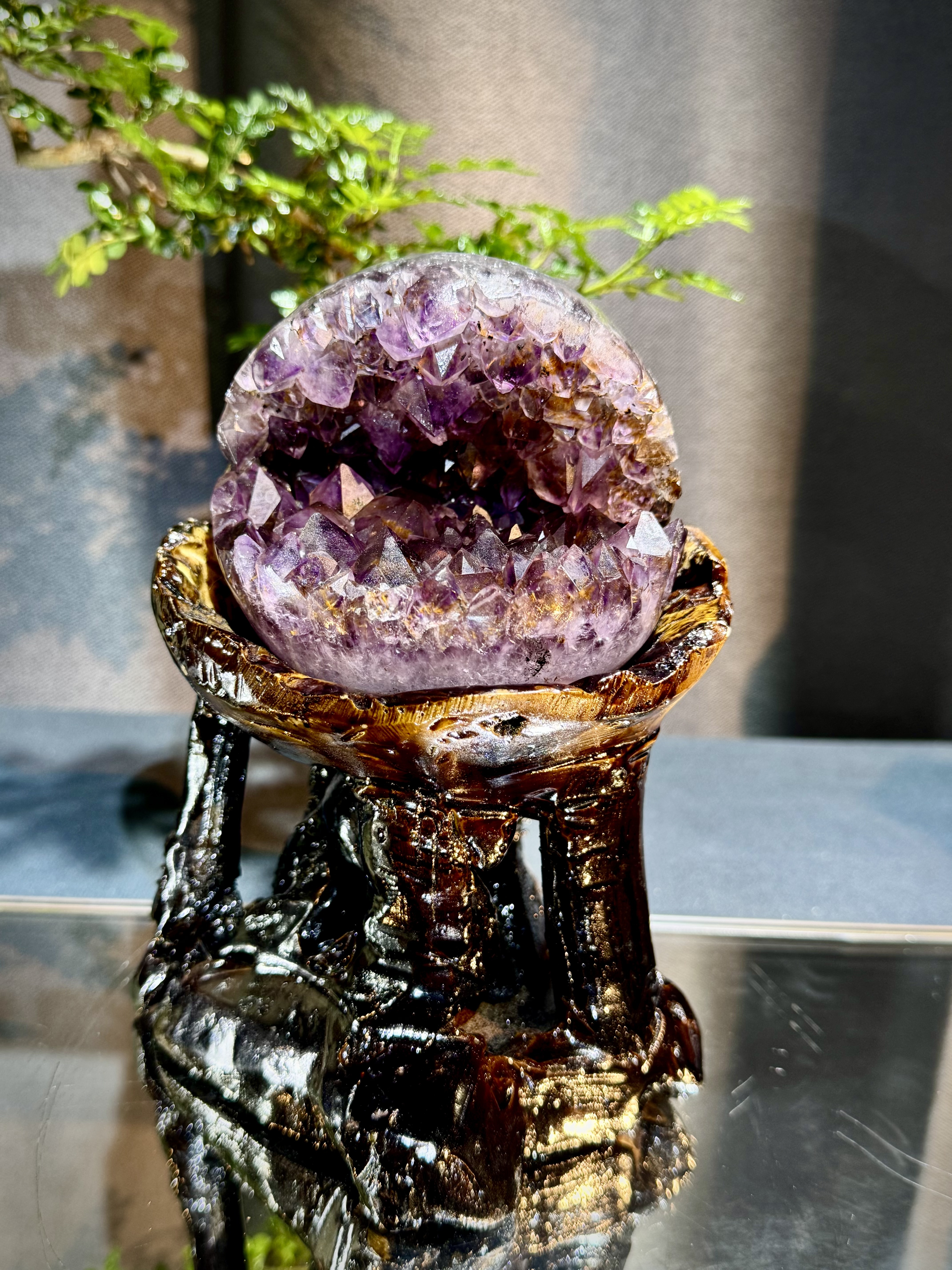 天花板紫鈦開口笑 8811