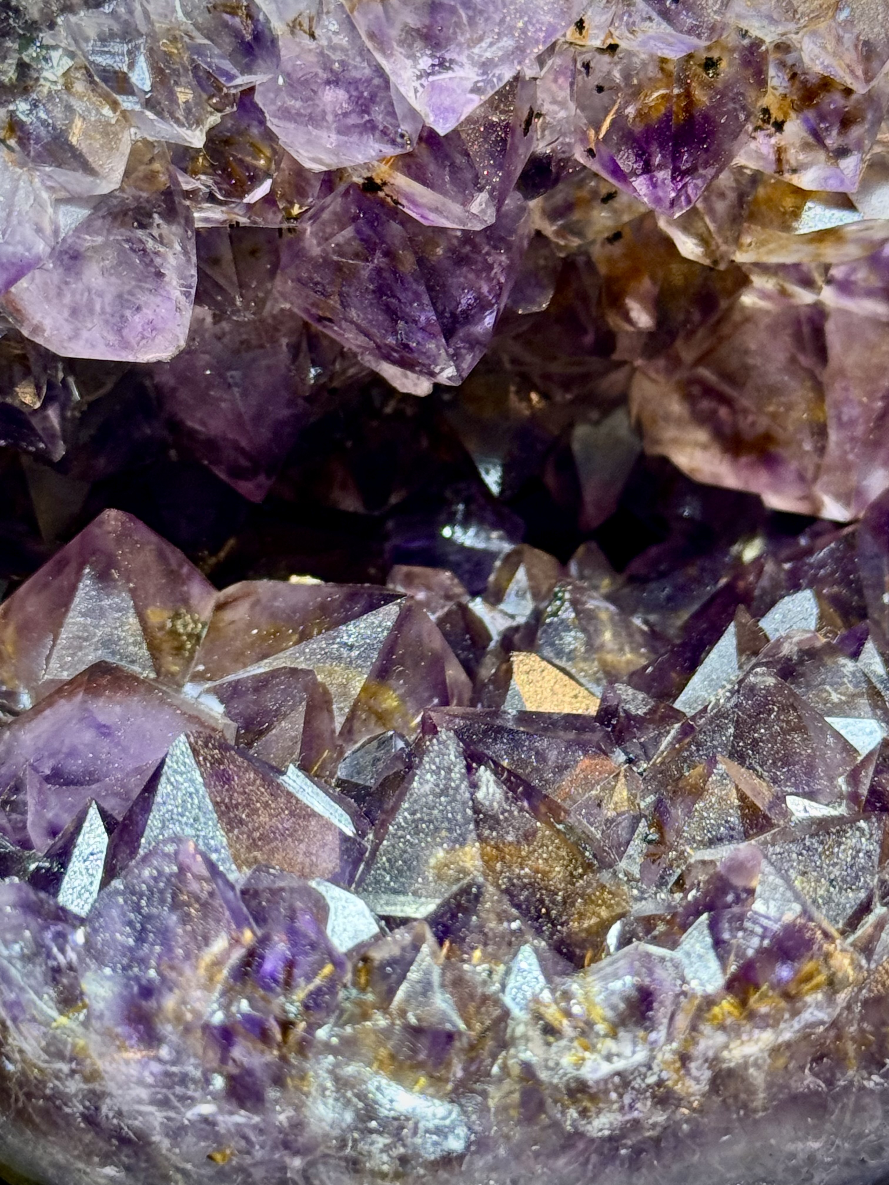 天花板紫鈦開口笑 8811