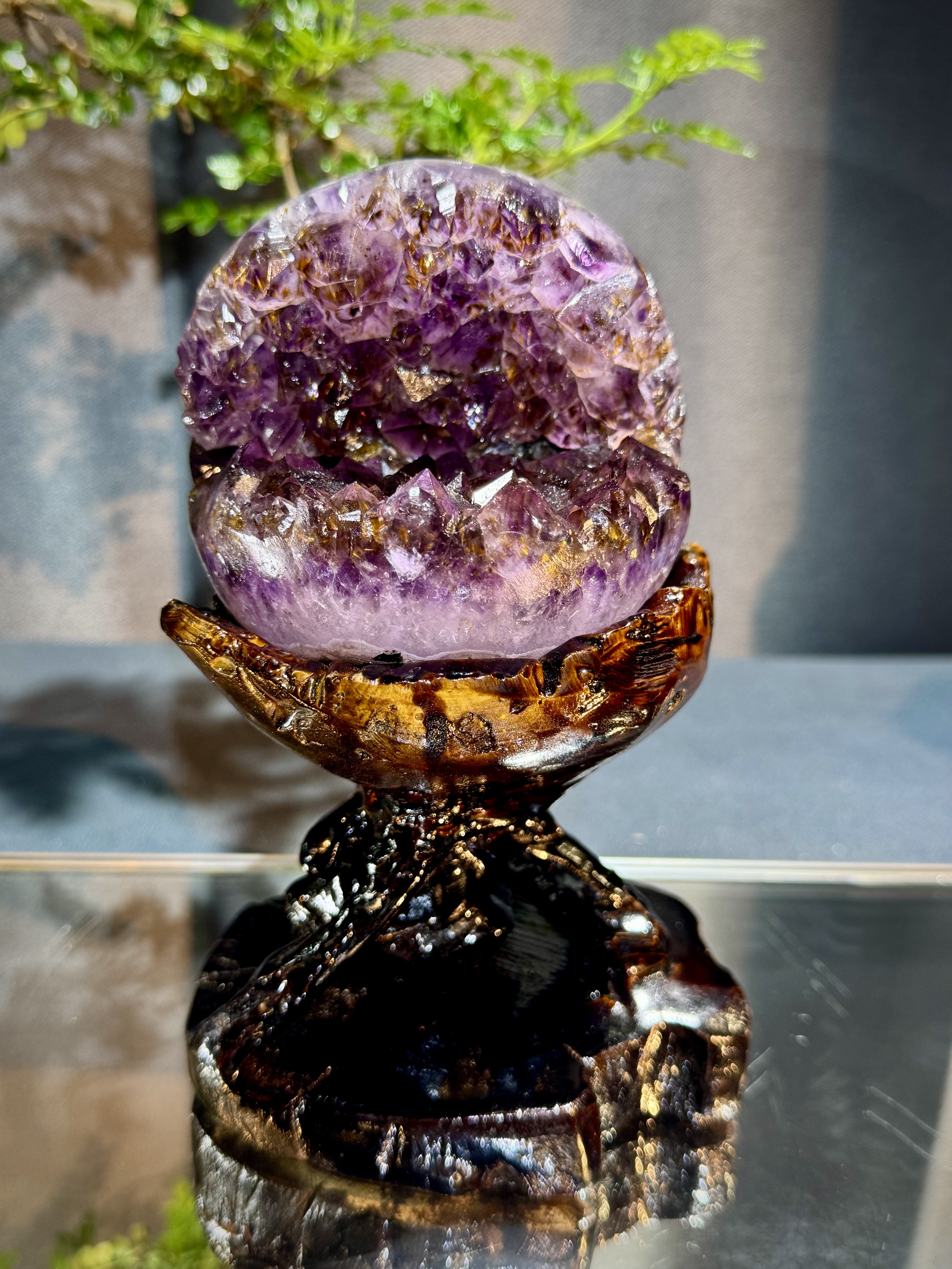 天花板紫鈦開口笑 8812