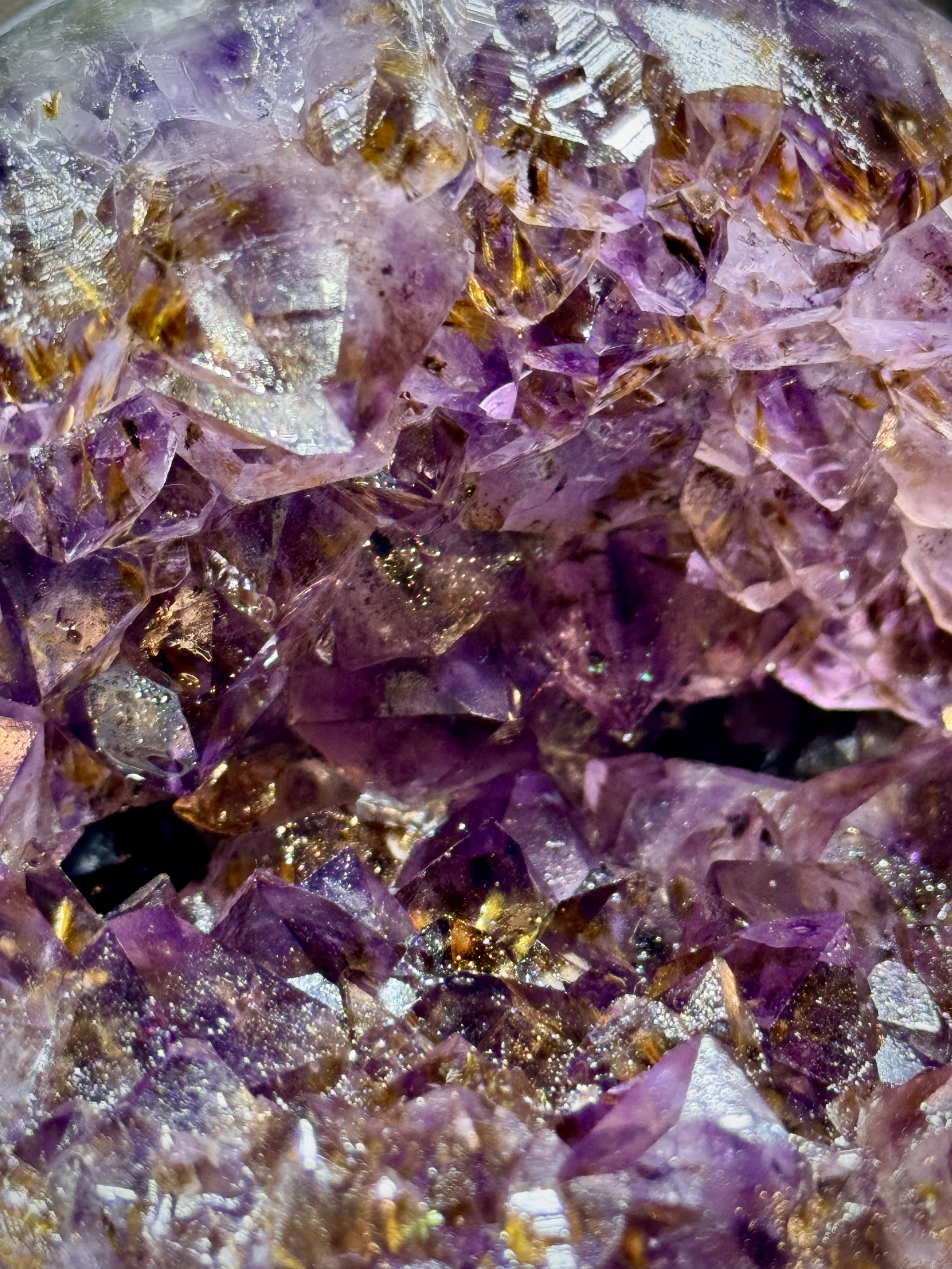 天花板紫鈦開口笑 8812